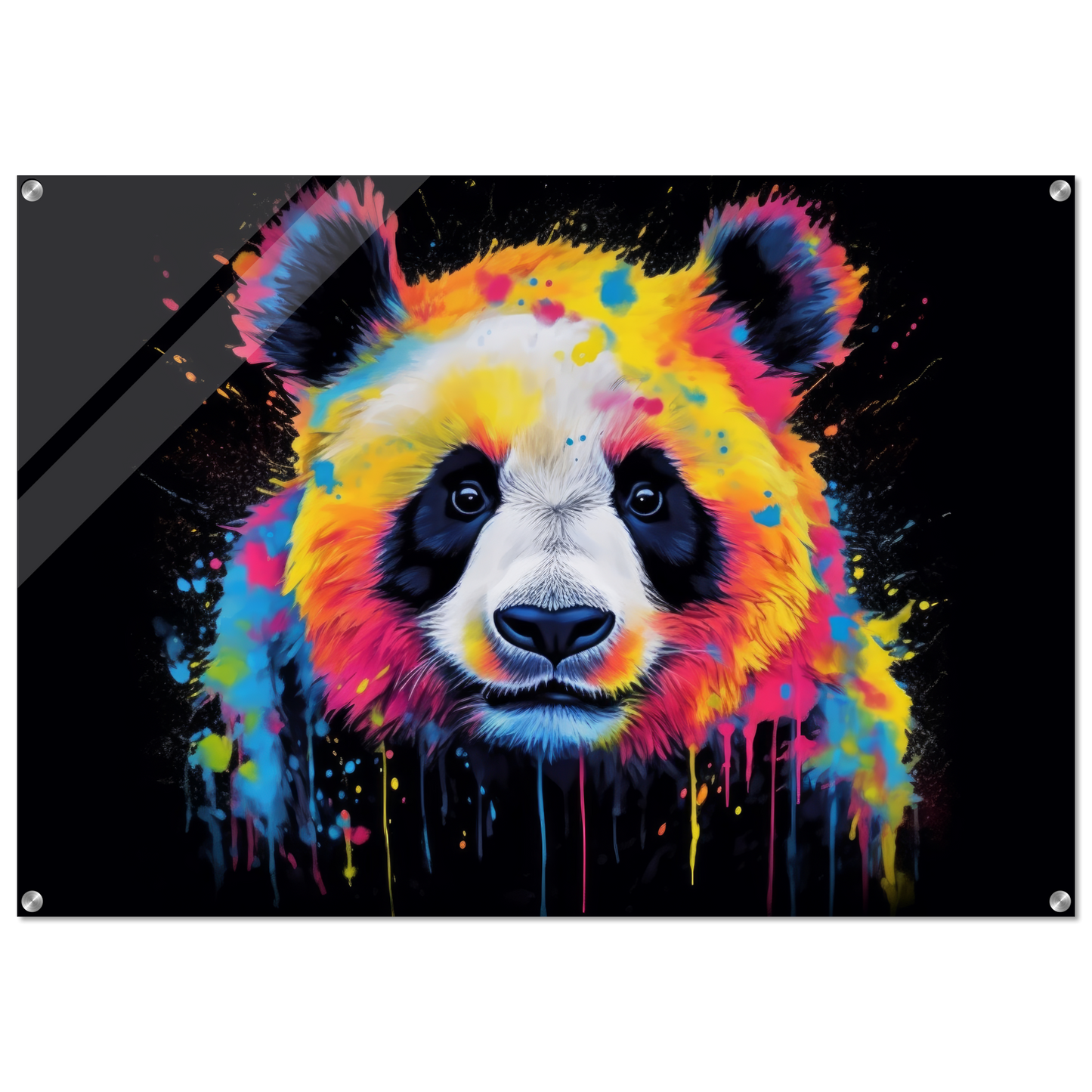 Panda Panda Bear Pop Art (WILD82)