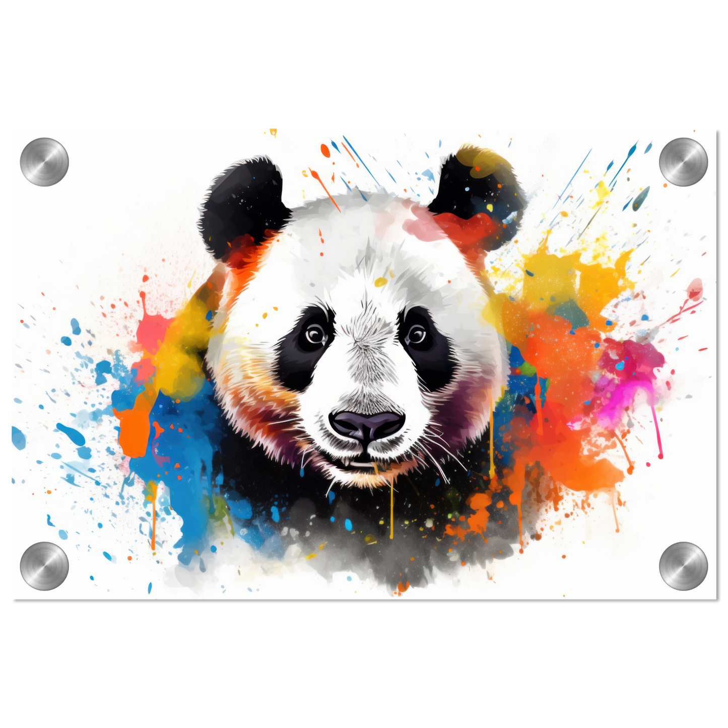 Panda Pandabär Pop-Art (WILD85)