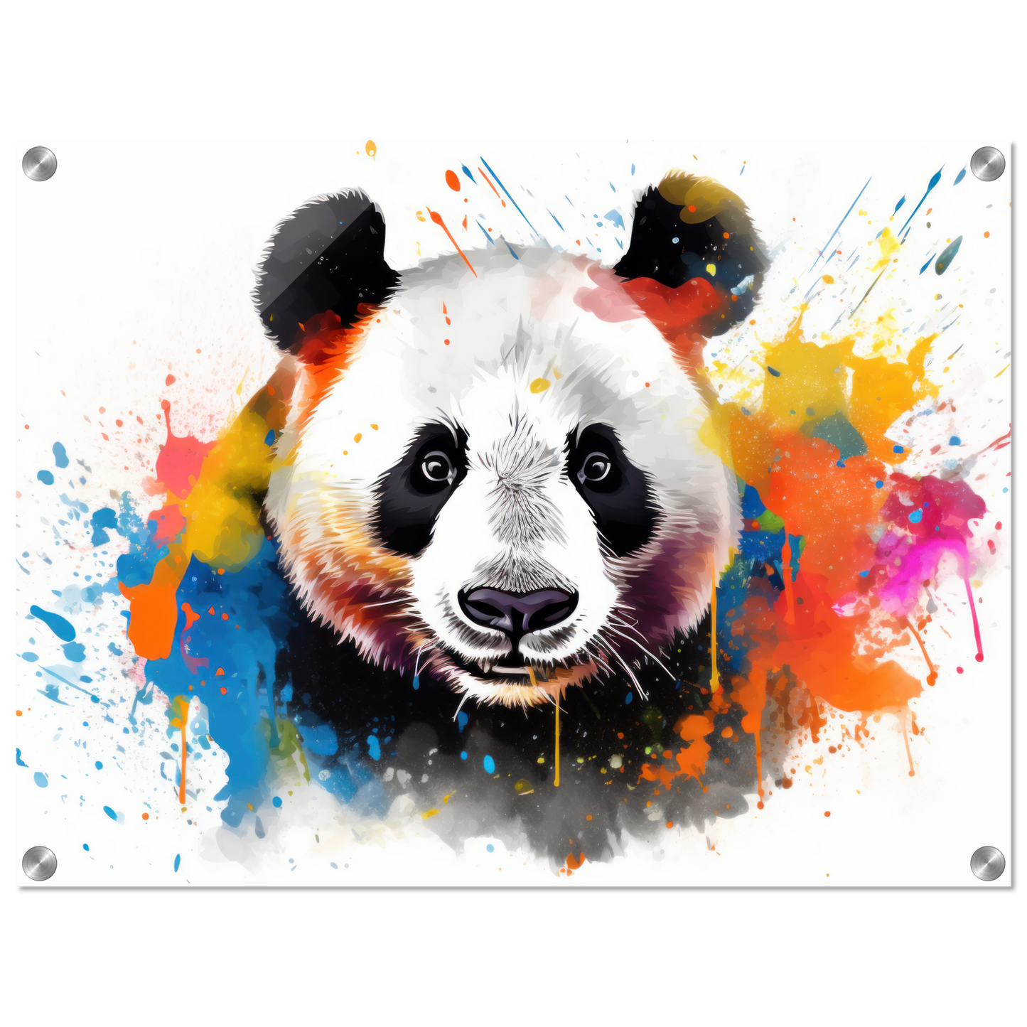 Panda Pandabär Pop-Art (WILD85)
