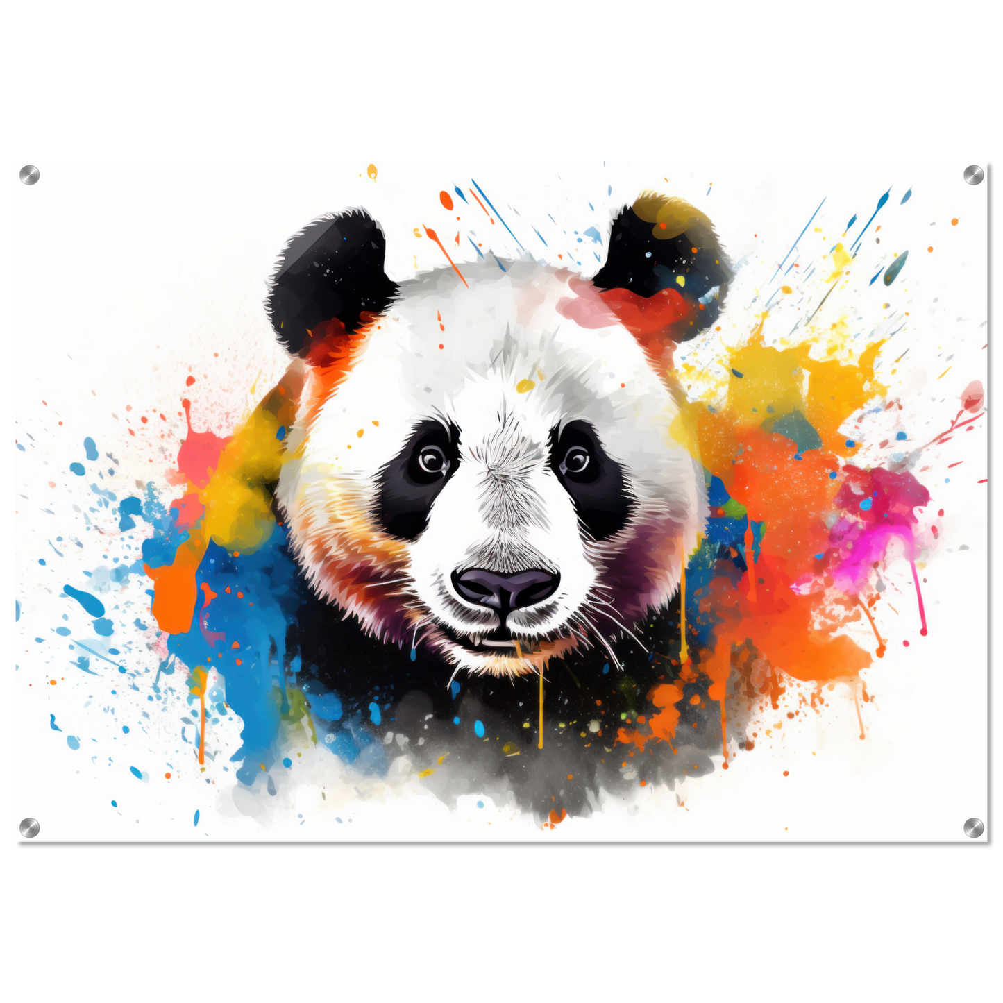 Panda Pandabär Pop-Art (WILD85)