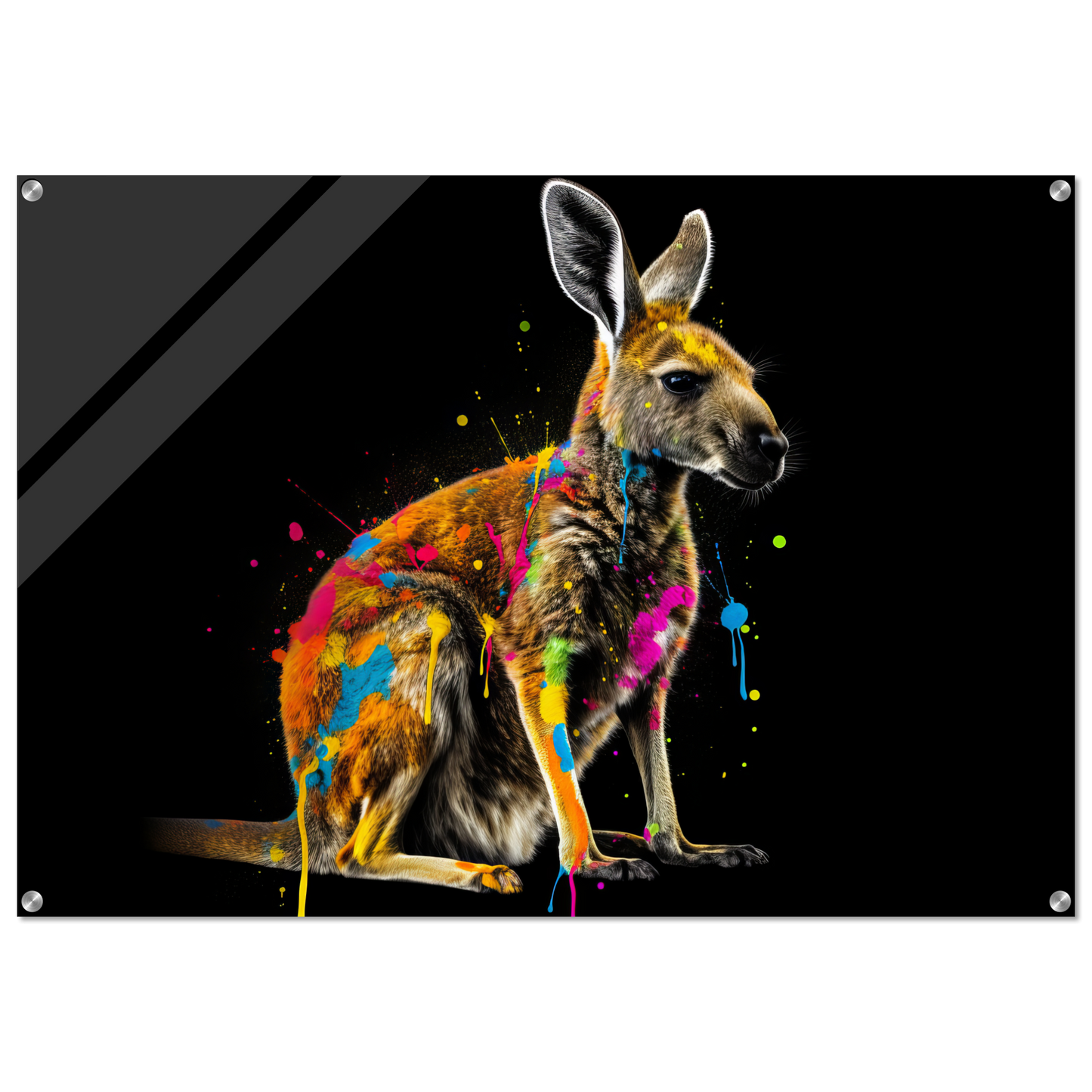 Känguru Pop-Art (WILD97)