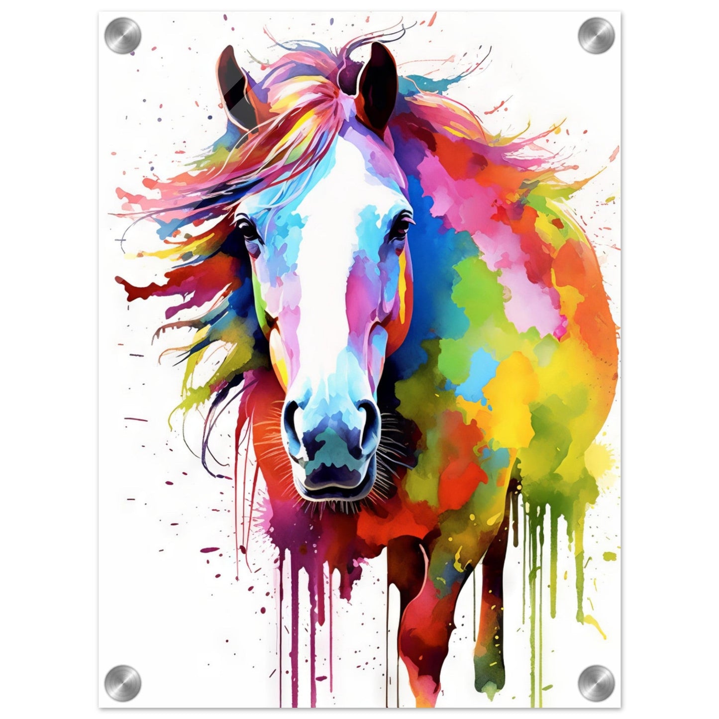 Horse pop art (HORSE13)