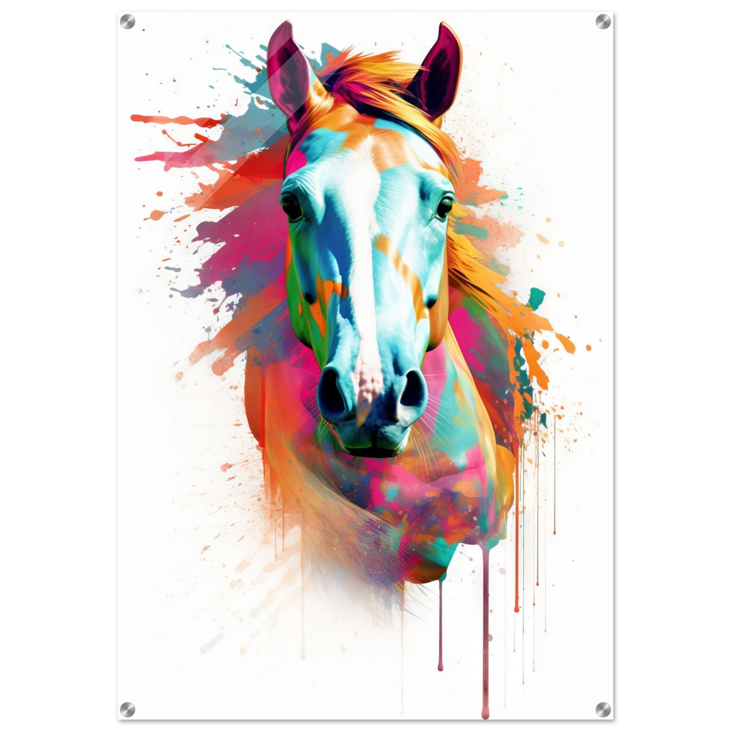 Horse pop art (HORSE06)