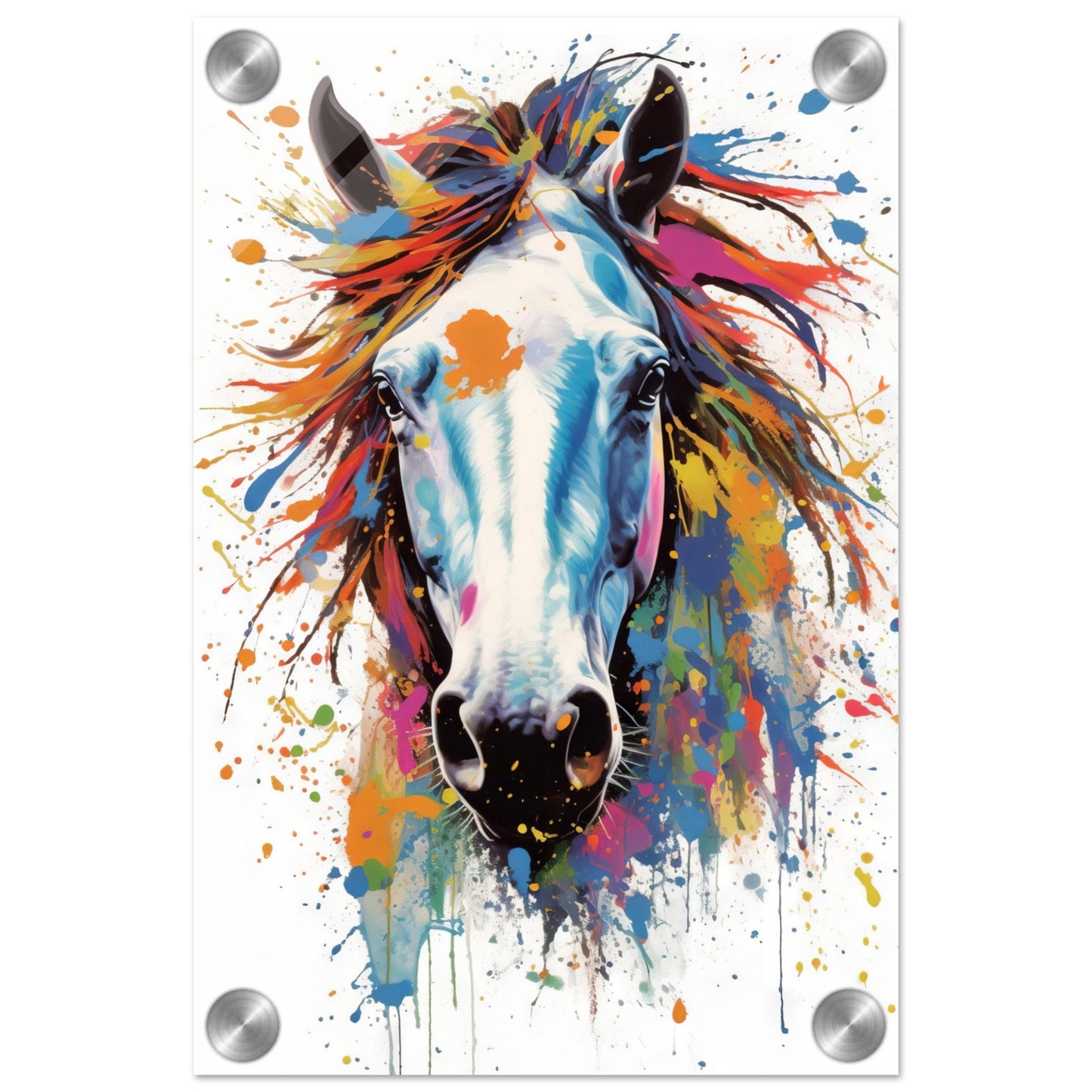 Horse pop art (HORSE16)