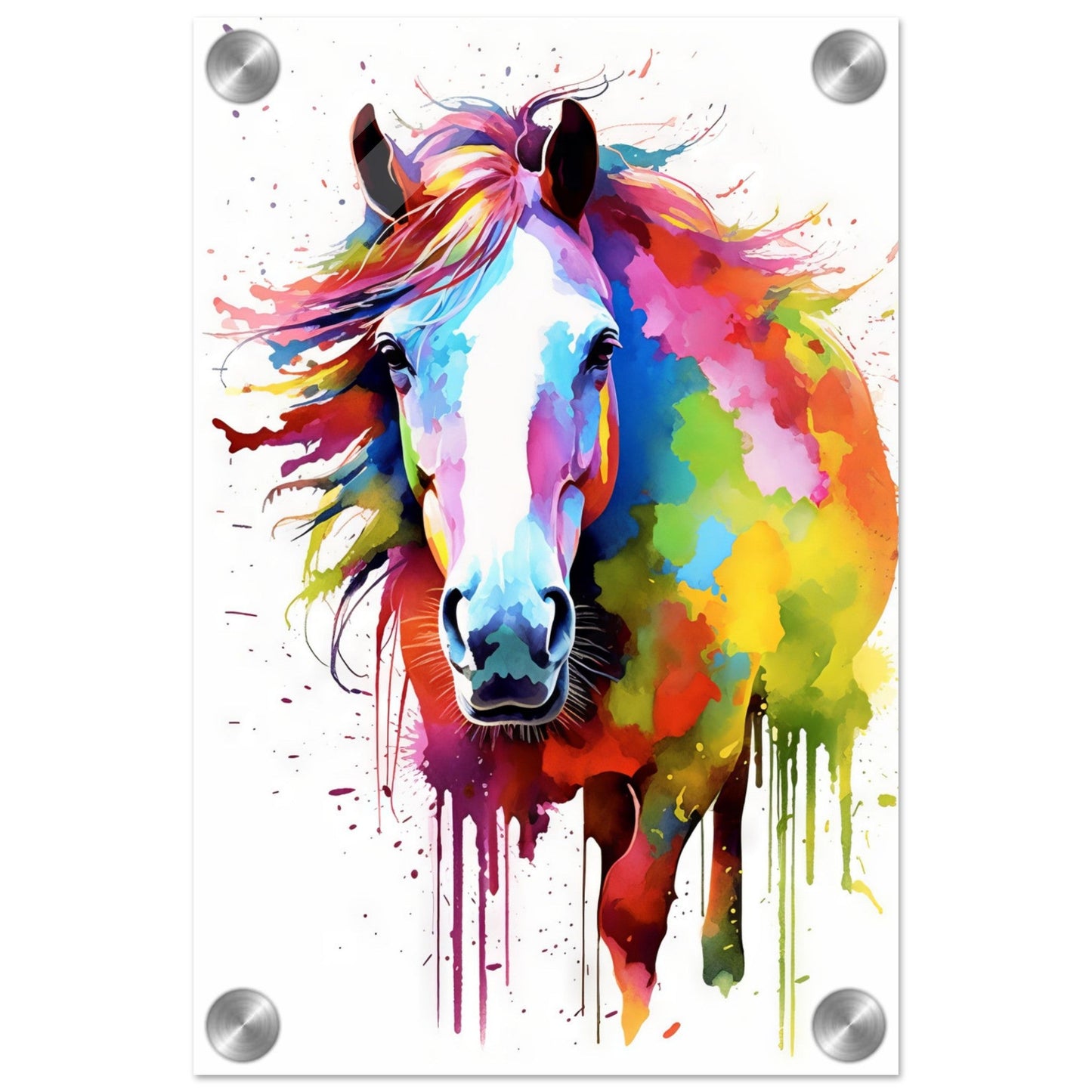 Horse pop art (HORSE13)