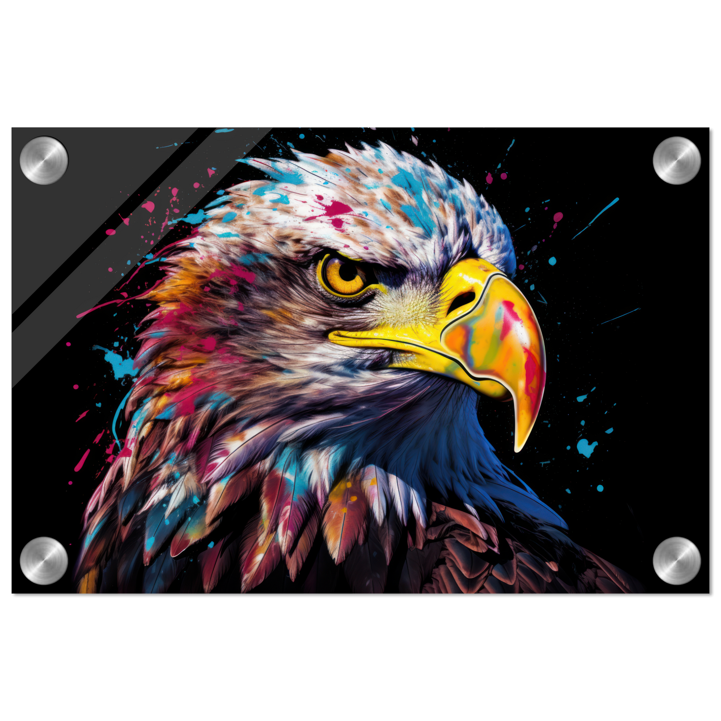 Weißkopf Seeadler Pop-Art (BIRD49)