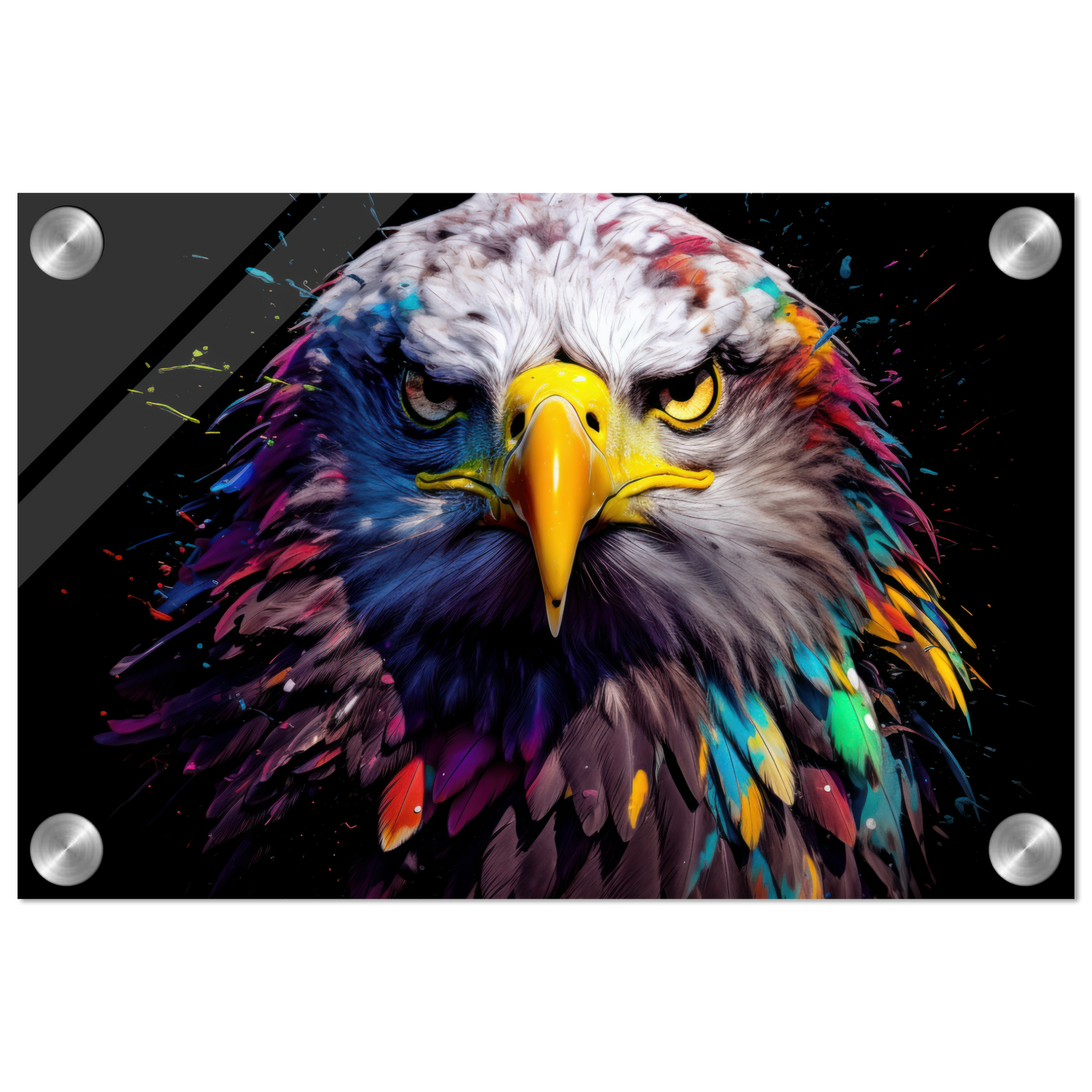 Weißkopf Seeadler Pop-Art (BIRD50)