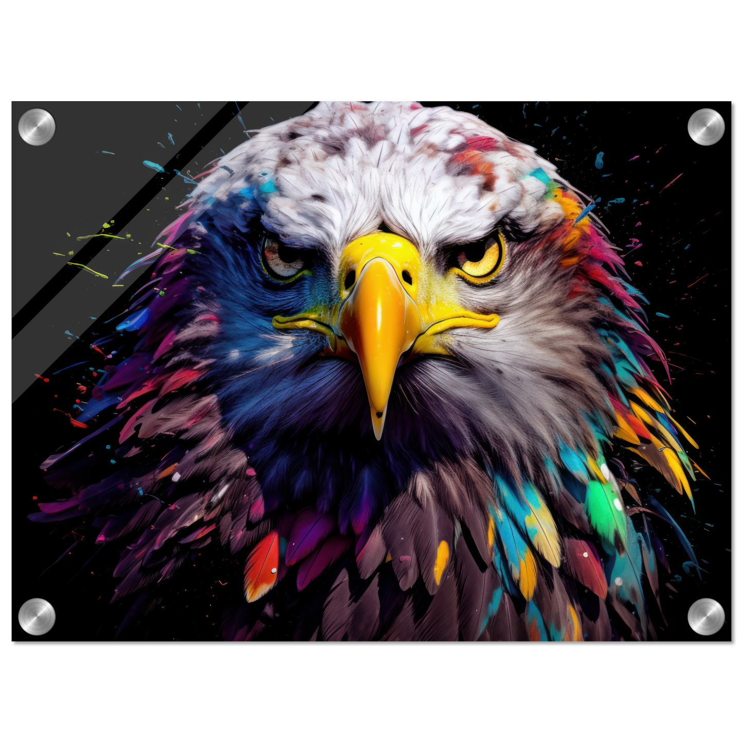 Weißkopf Seeadler Pop-Art (BIRD50)