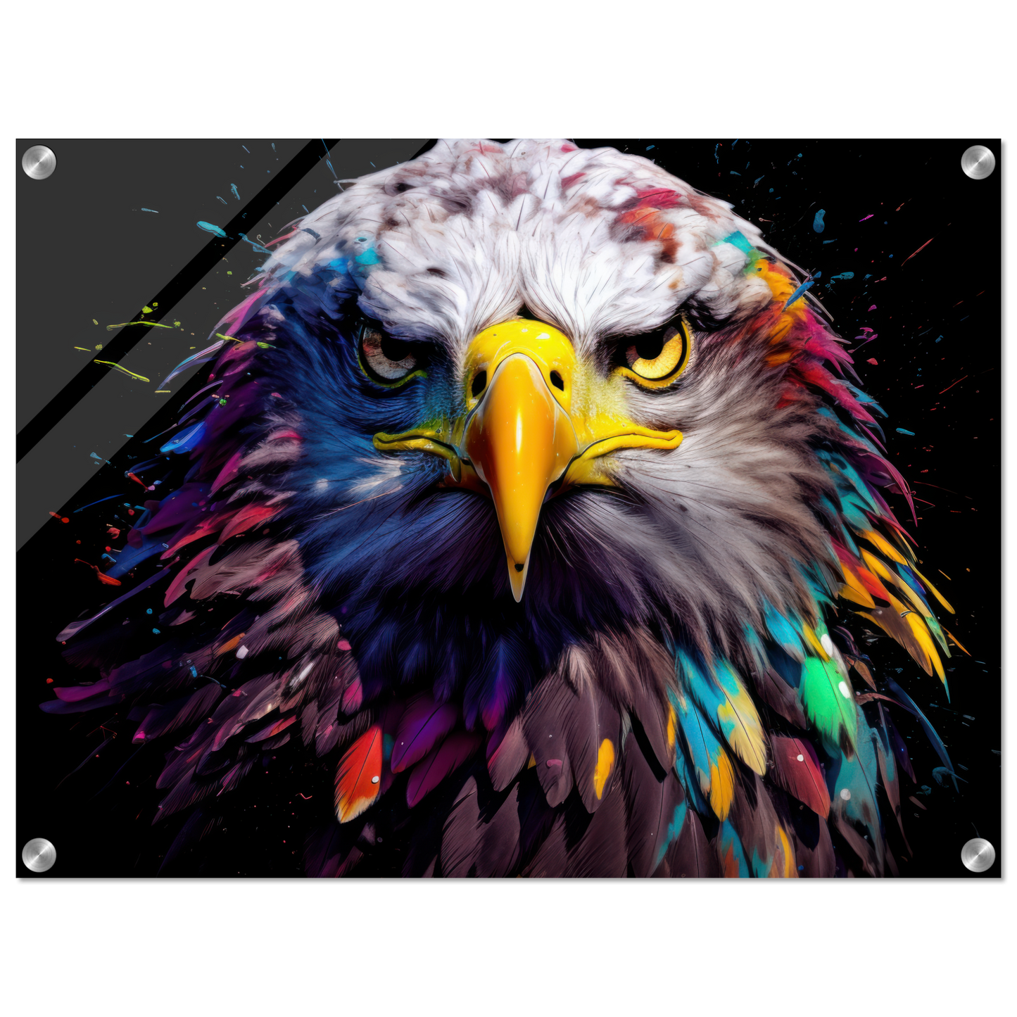 Weißkopf Seeadler Pop-Art (BIRD50)