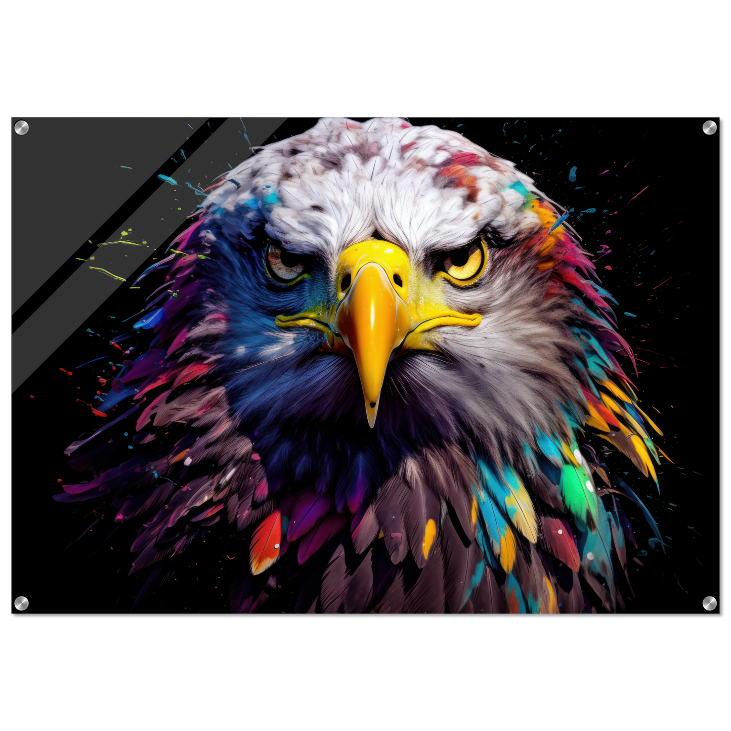 Weißkopf Seeadler Pop-Art (BIRD50)