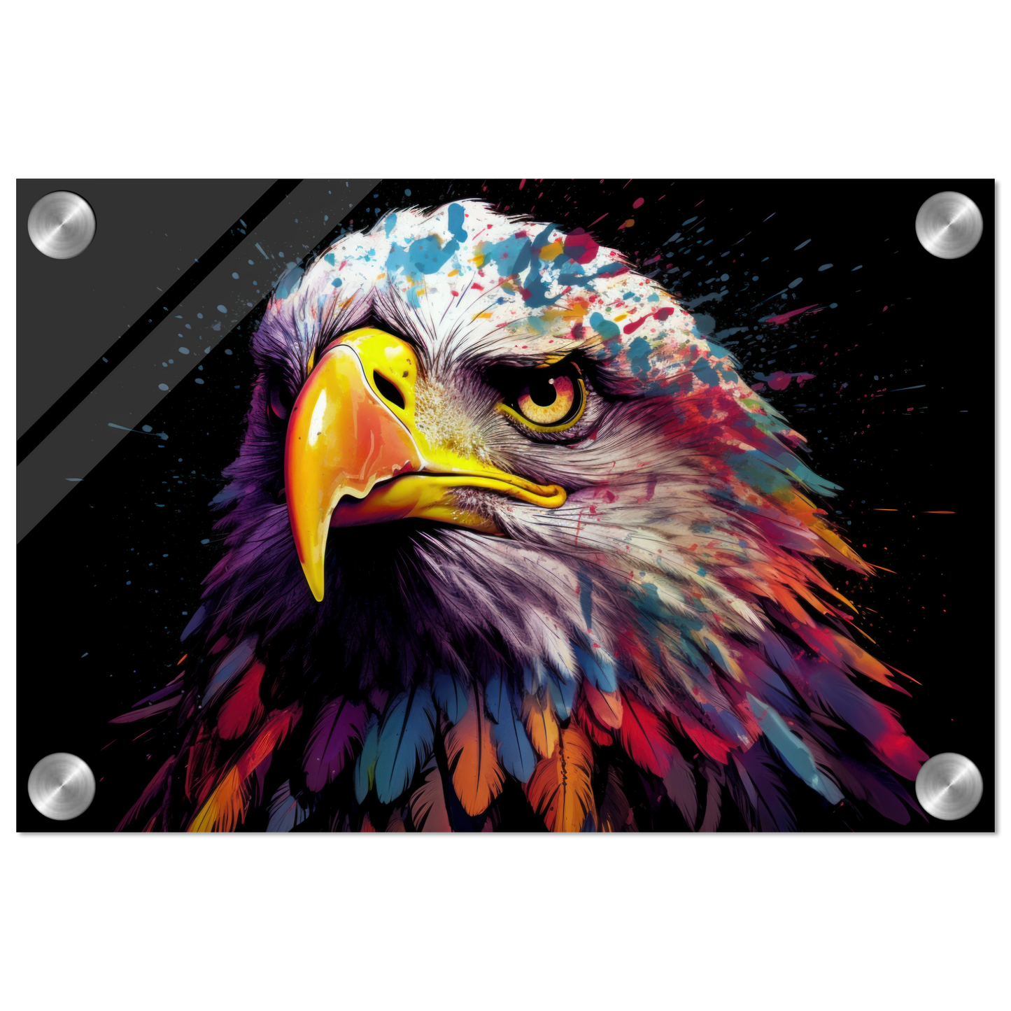 Weißkopf Seeadler Pop-Art (BIRD51)