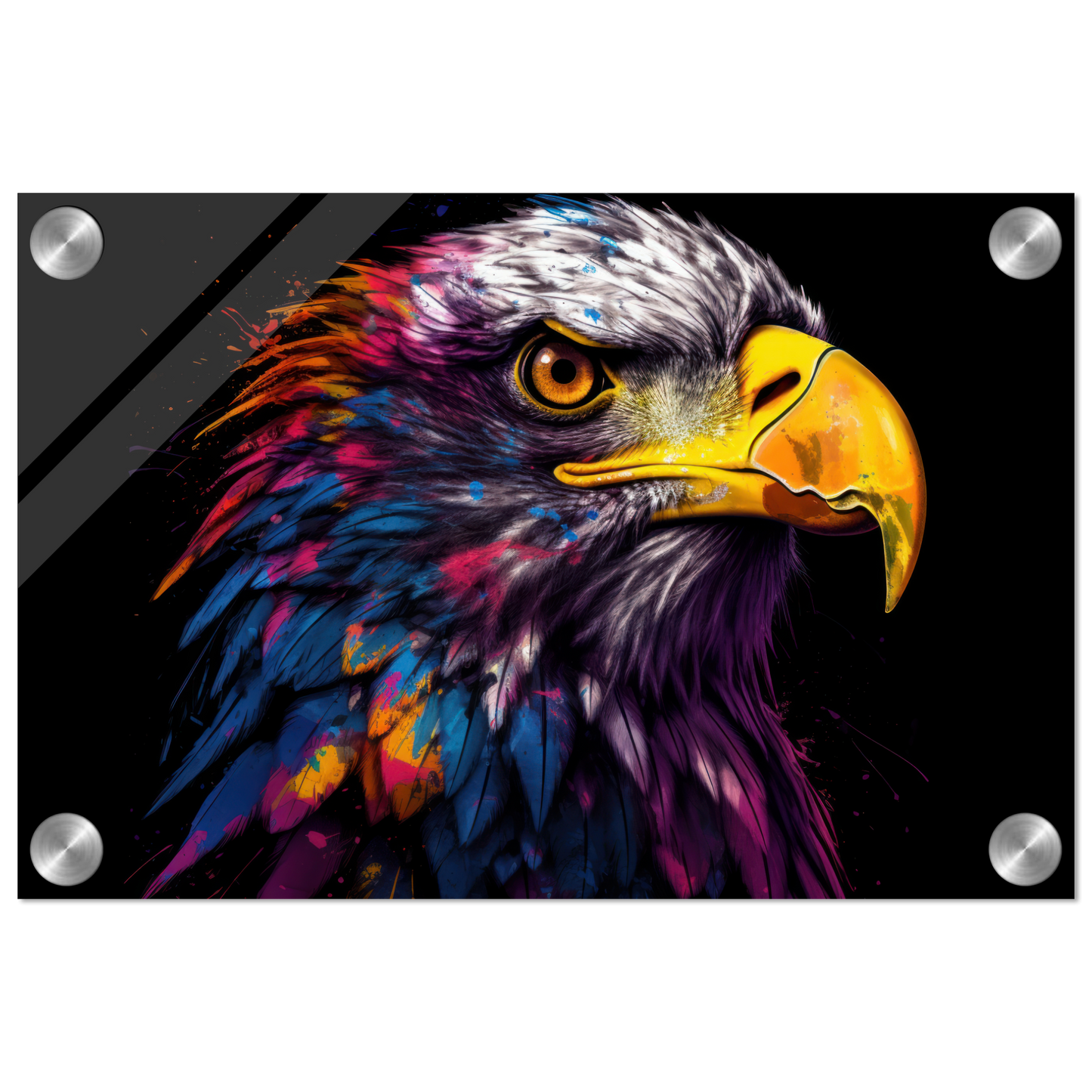 Weißkopf Seeadler Pop-Art (BIRD52)