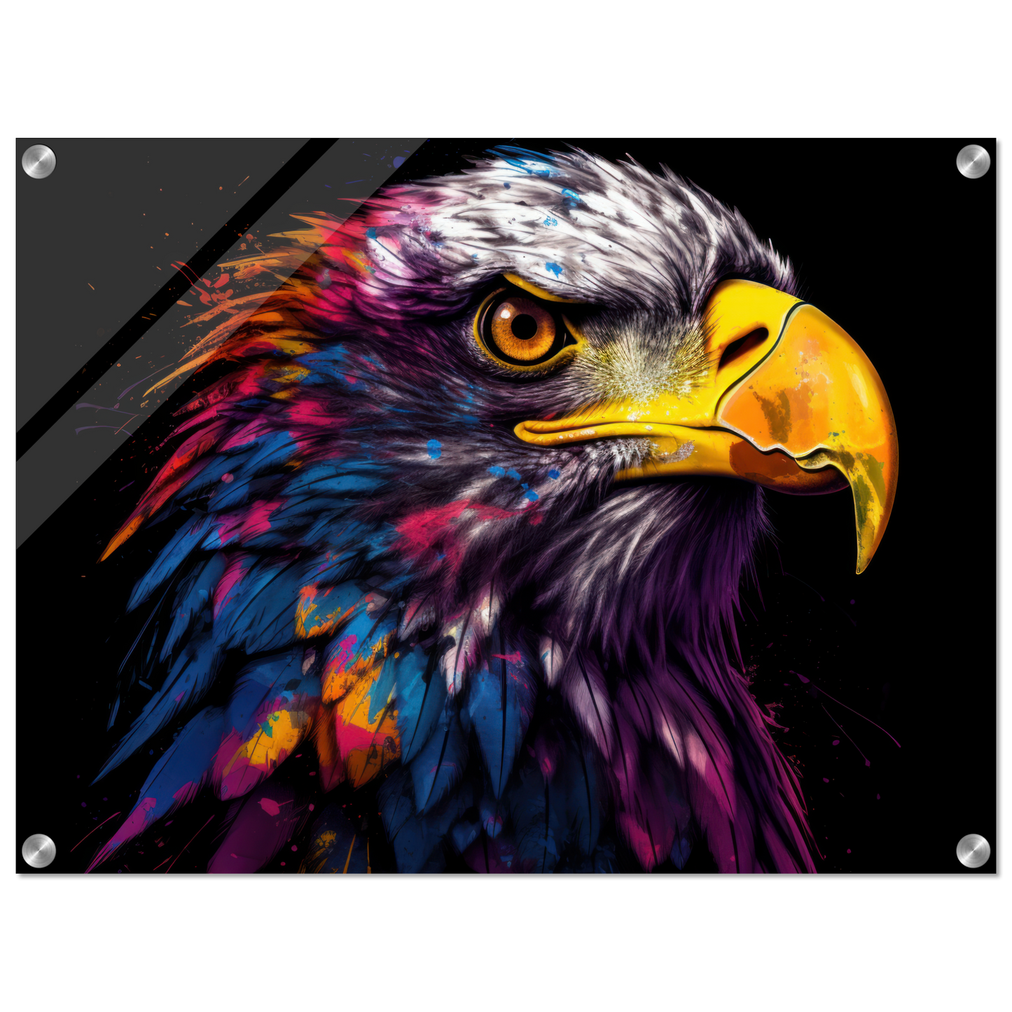 Weißkopf Seeadler Pop-Art (BIRD52)