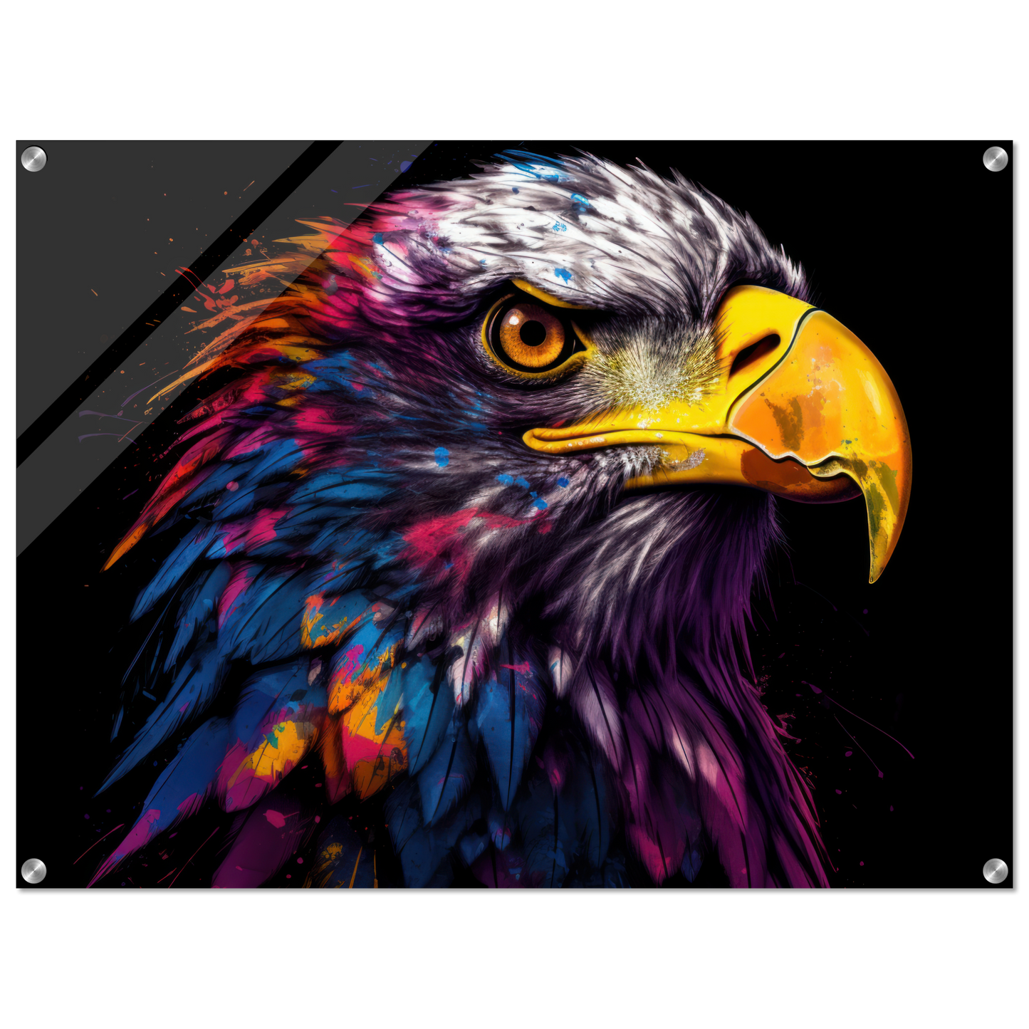 Weißkopf Seeadler Pop-Art (BIRD52)