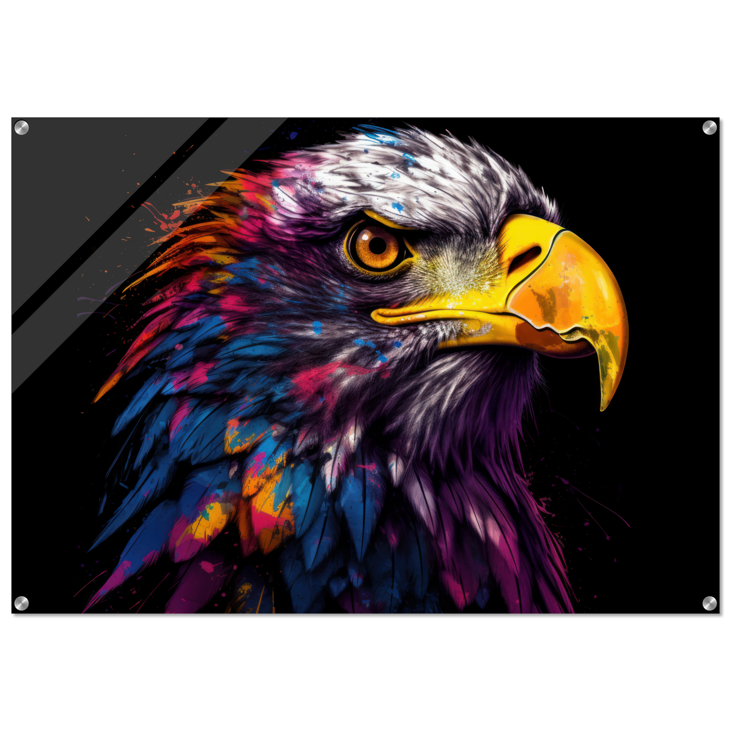 Weißkopf Seeadler Pop-Art (BIRD52)