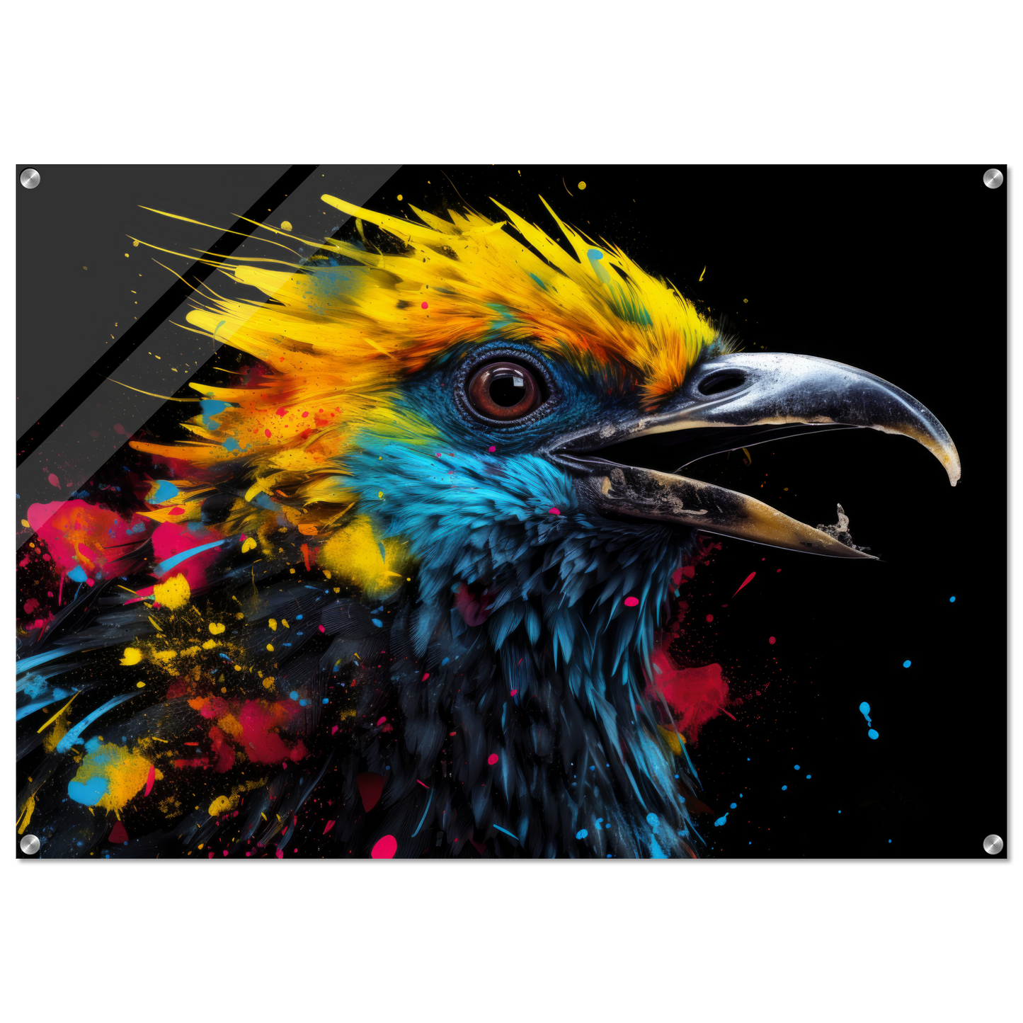 Harpy pop art (BIRD61)