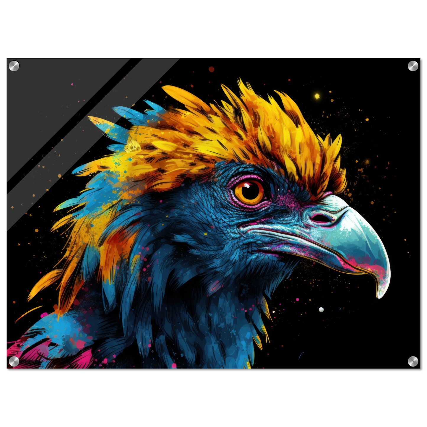 Harpy pop art (BIRD62)