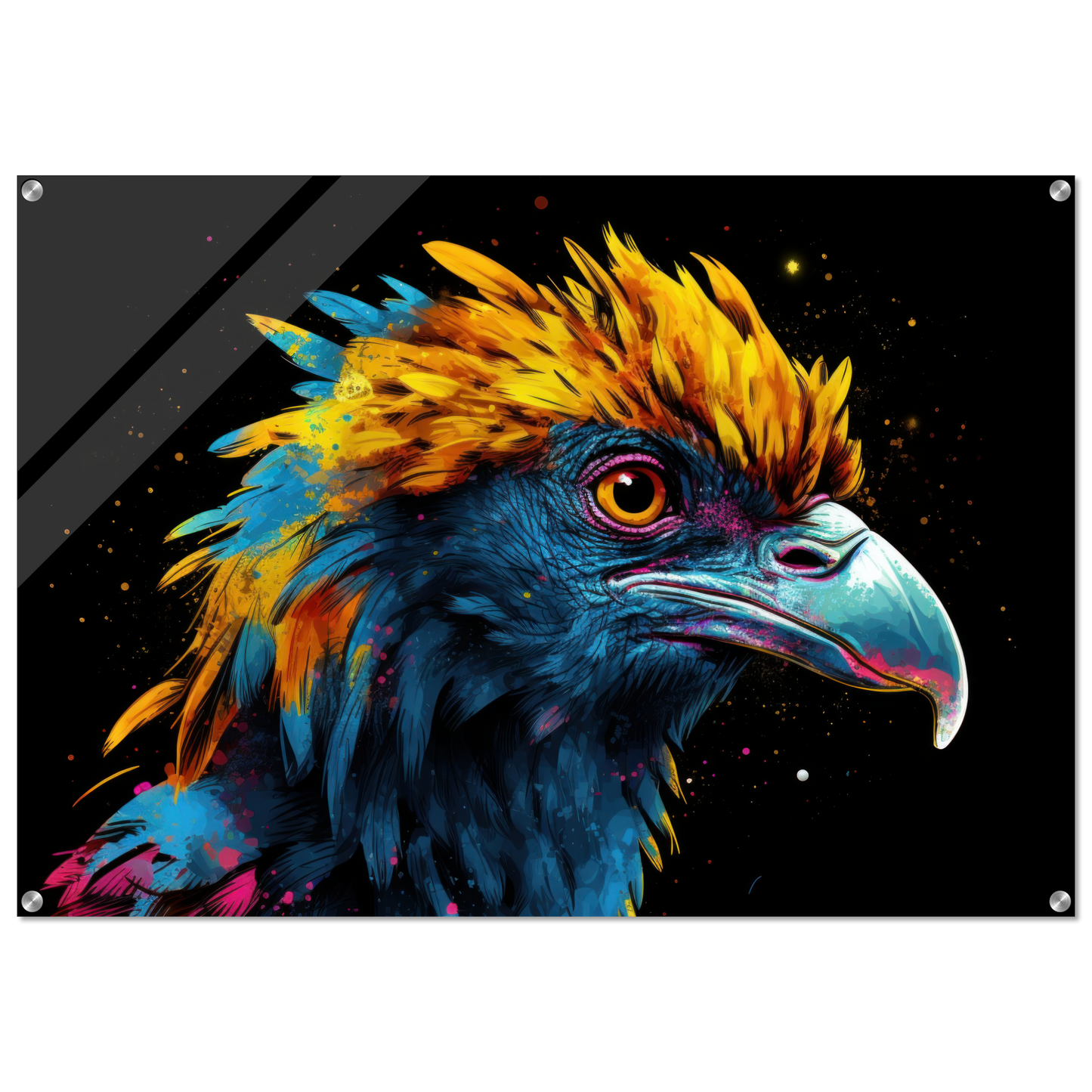 Harpy pop art (BIRD62)