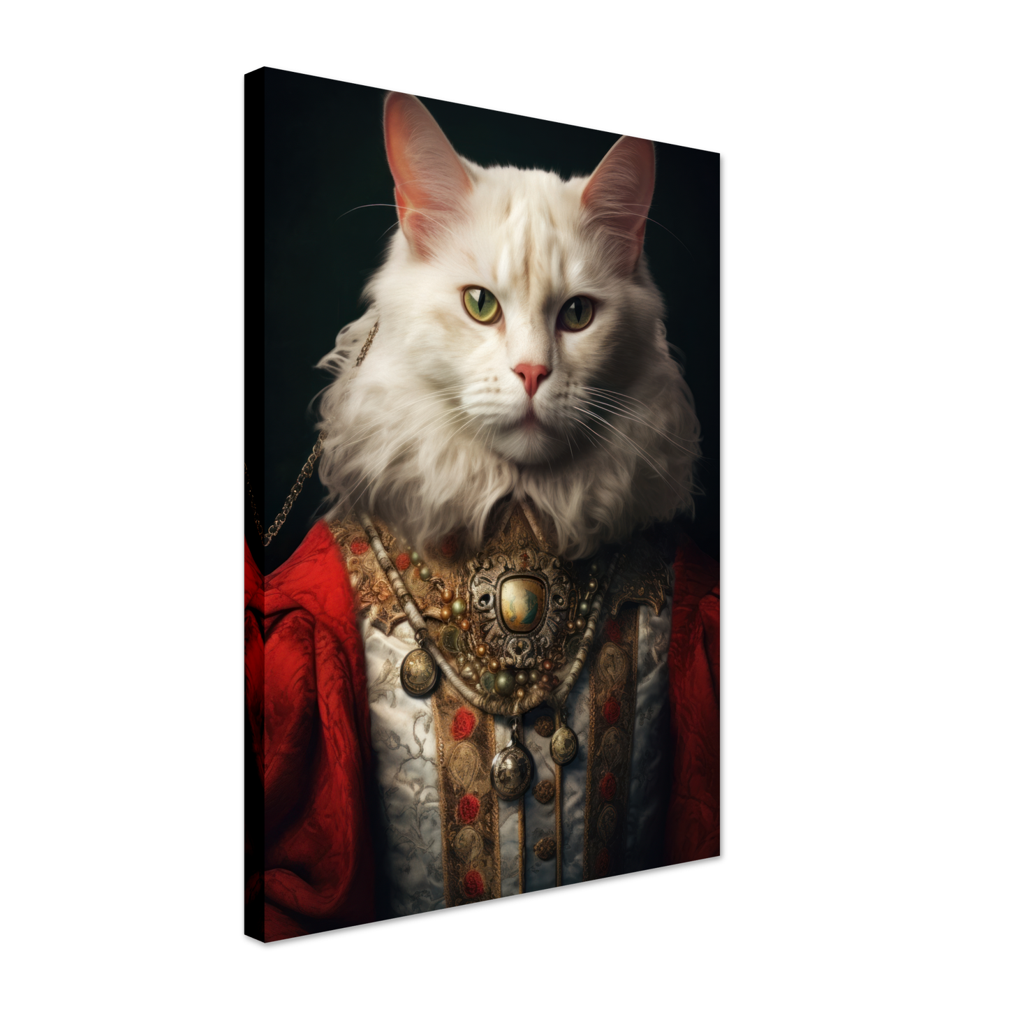 Cat Main Coone Renaissance (CAT127)