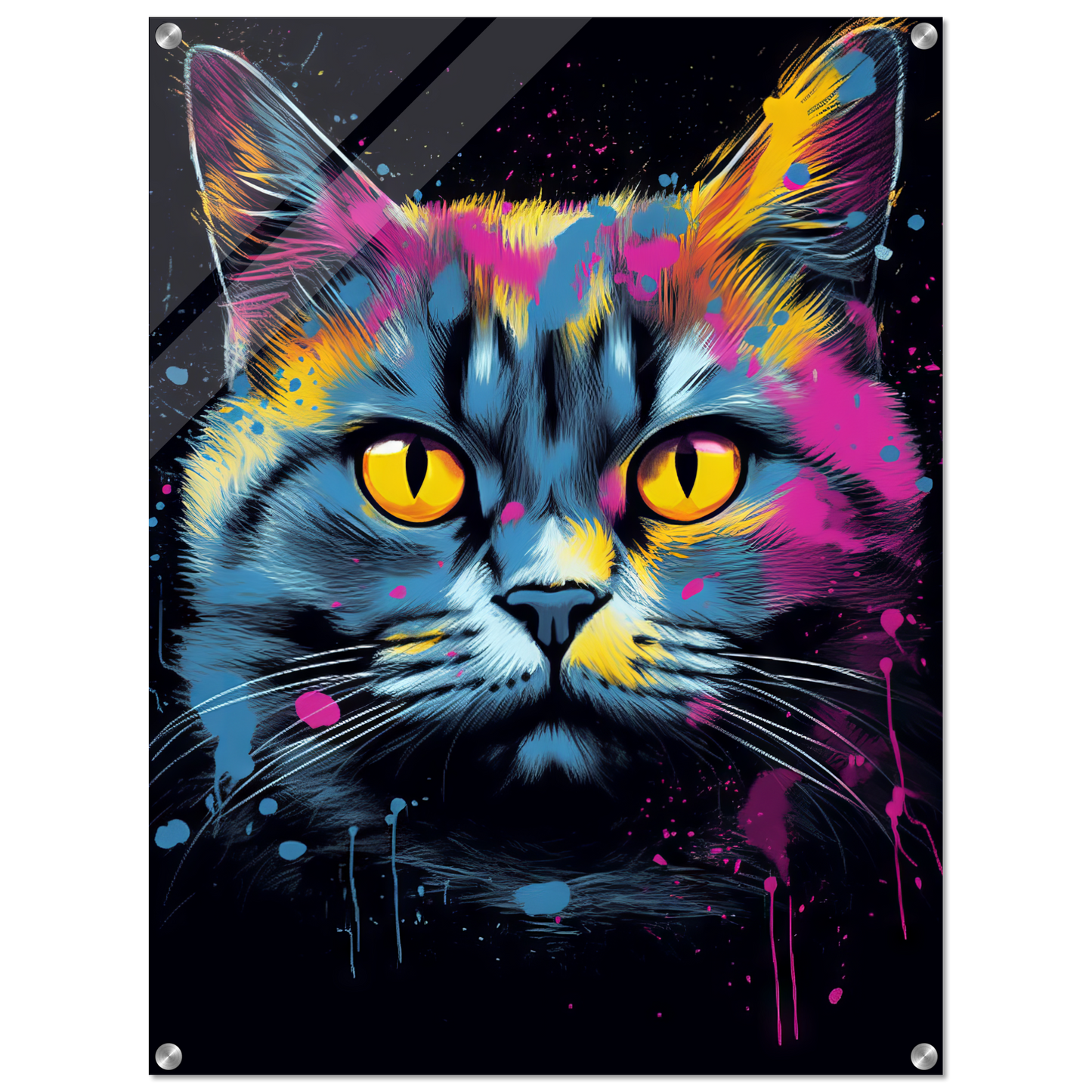 Katze Britisch Kurzhaar (BKH) Pop-Art (CAT18)