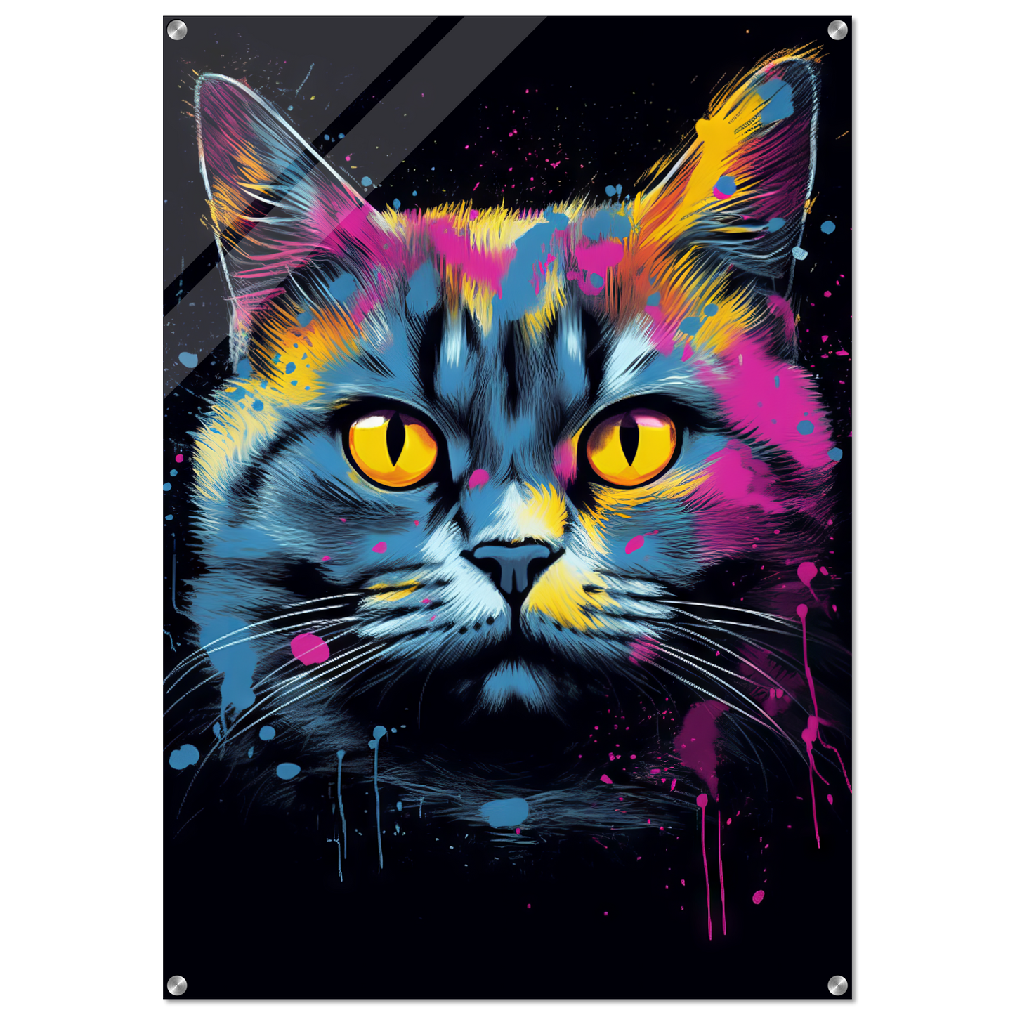 Katze Britisch Kurzhaar (BKH) Pop-Art (CAT18)