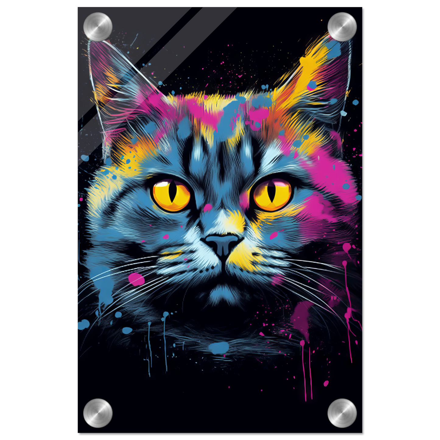 Katze Britisch Kurzhaar (BKH) Pop-Art (CAT18)