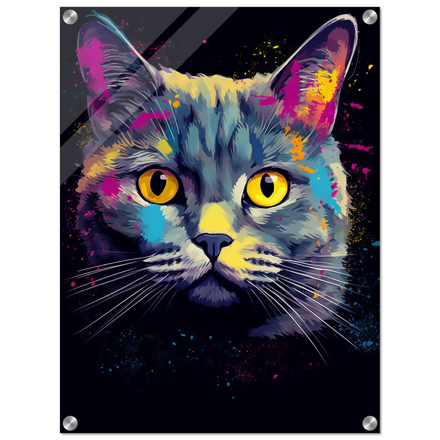 Katze Britisch Kurzhaar (BKH) Pop-Art (CAT19)