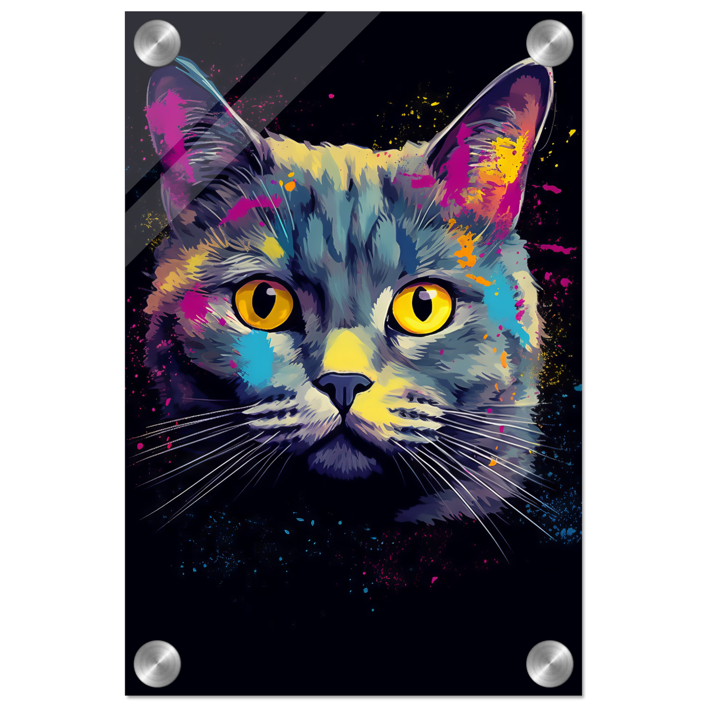 Katze Britisch Kurzhaar (BKH) Pop-Art (CAT19)