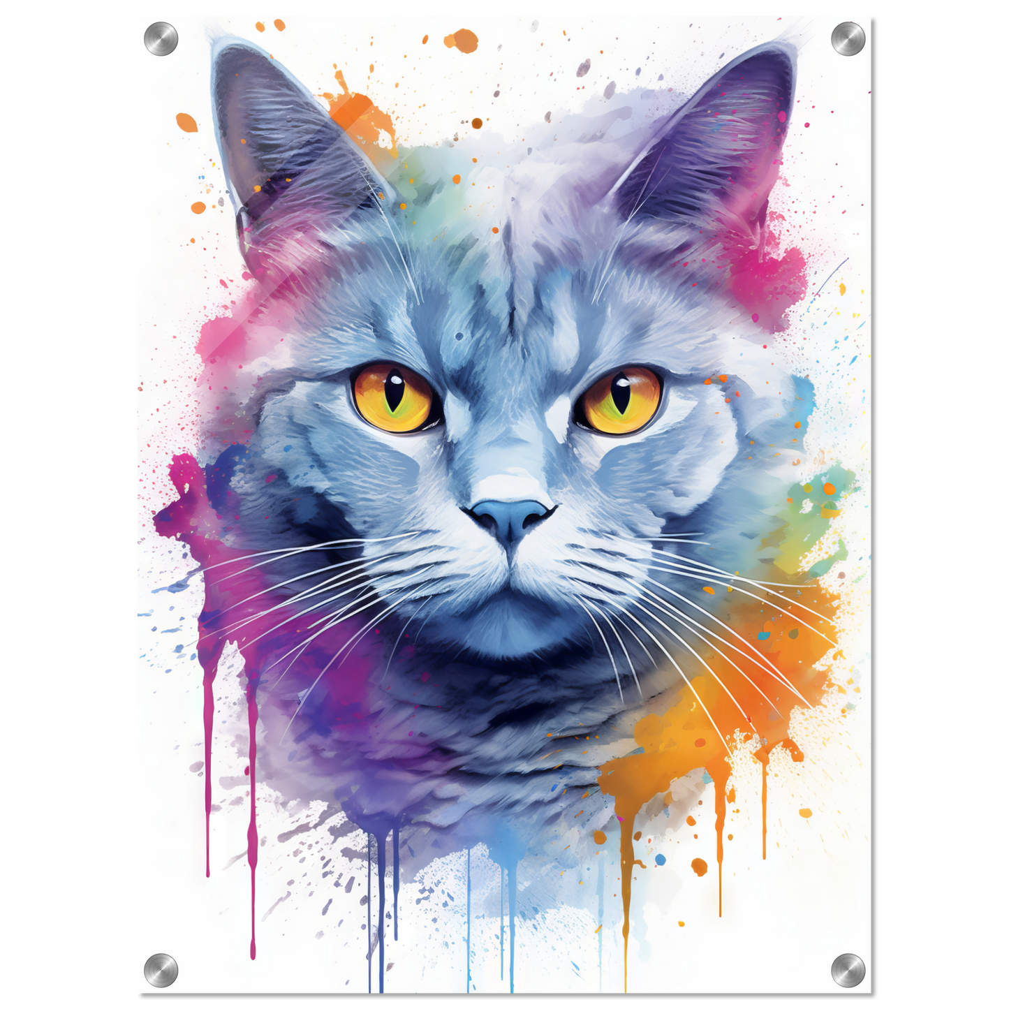 Katze Britisch Kurzhaar (BKH) Pop-Art (CAT21)