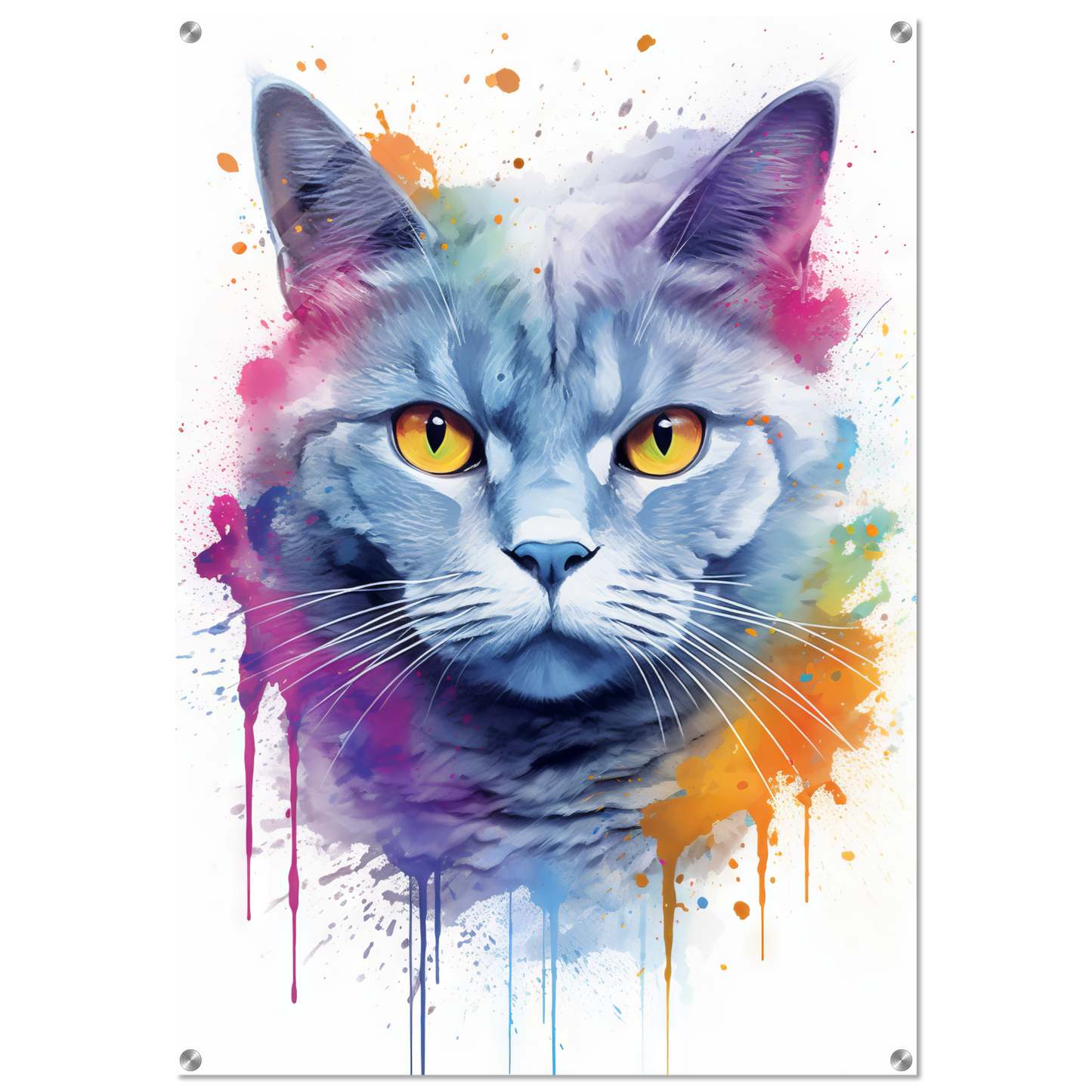 Katze Britisch Kurzhaar (BKH) Pop-Art (CAT21)