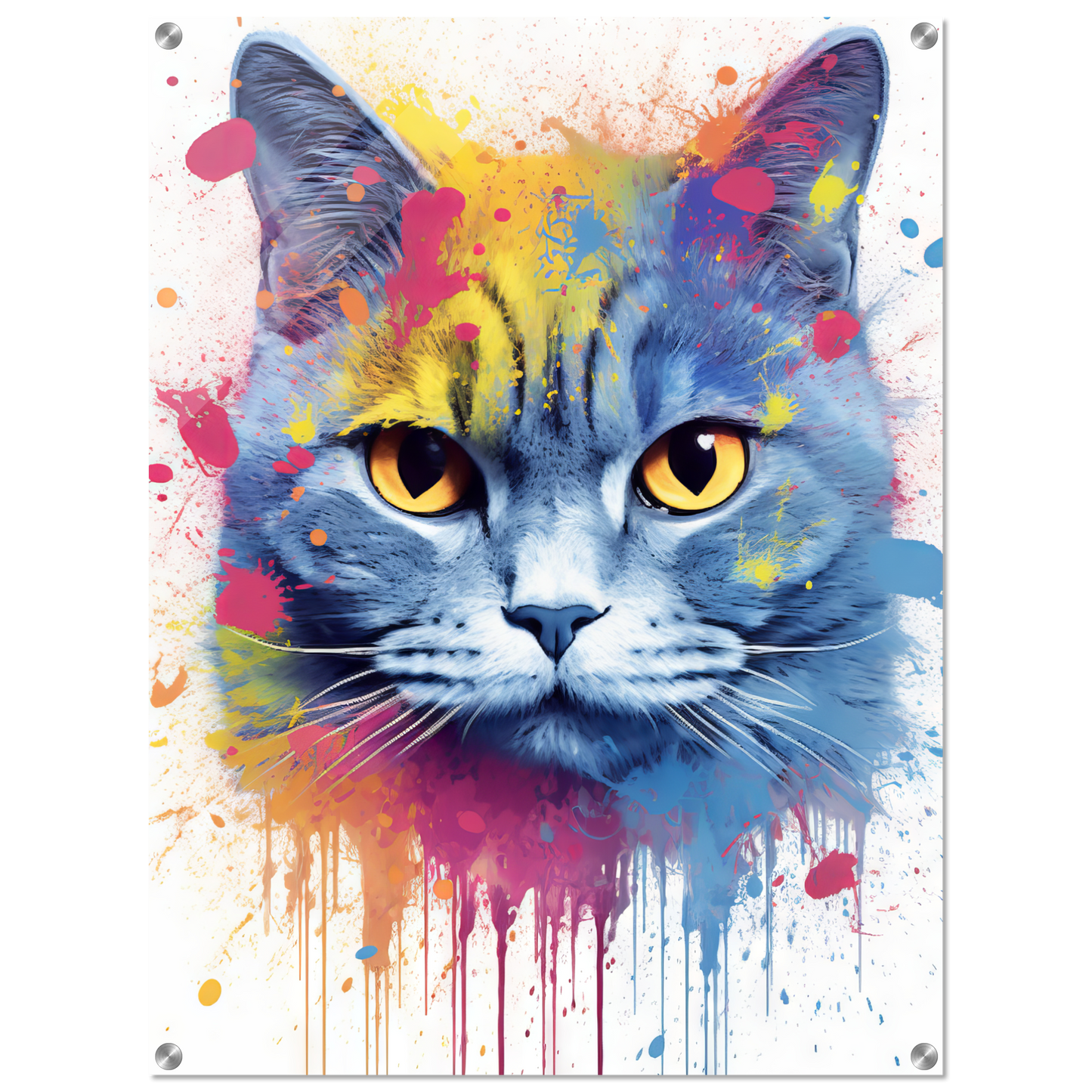 Katze Britisch Kurzhaar (BKH) Pop-Art (CAT22)