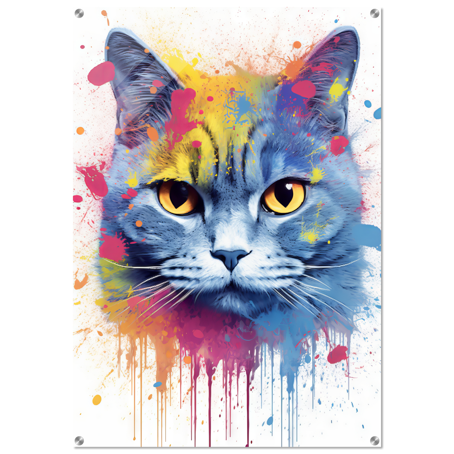 Katze Britisch Kurzhaar (BKH) Pop-Art (CAT22)