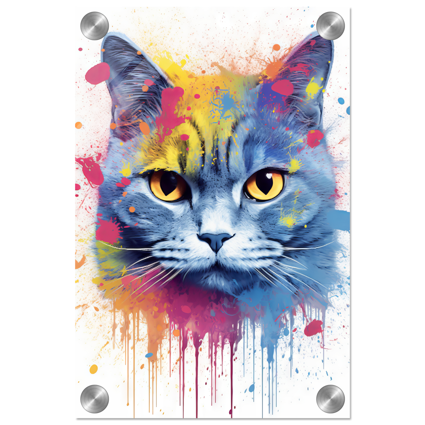 Katze Britisch Kurzhaar (BKH) Pop-Art (CAT22)