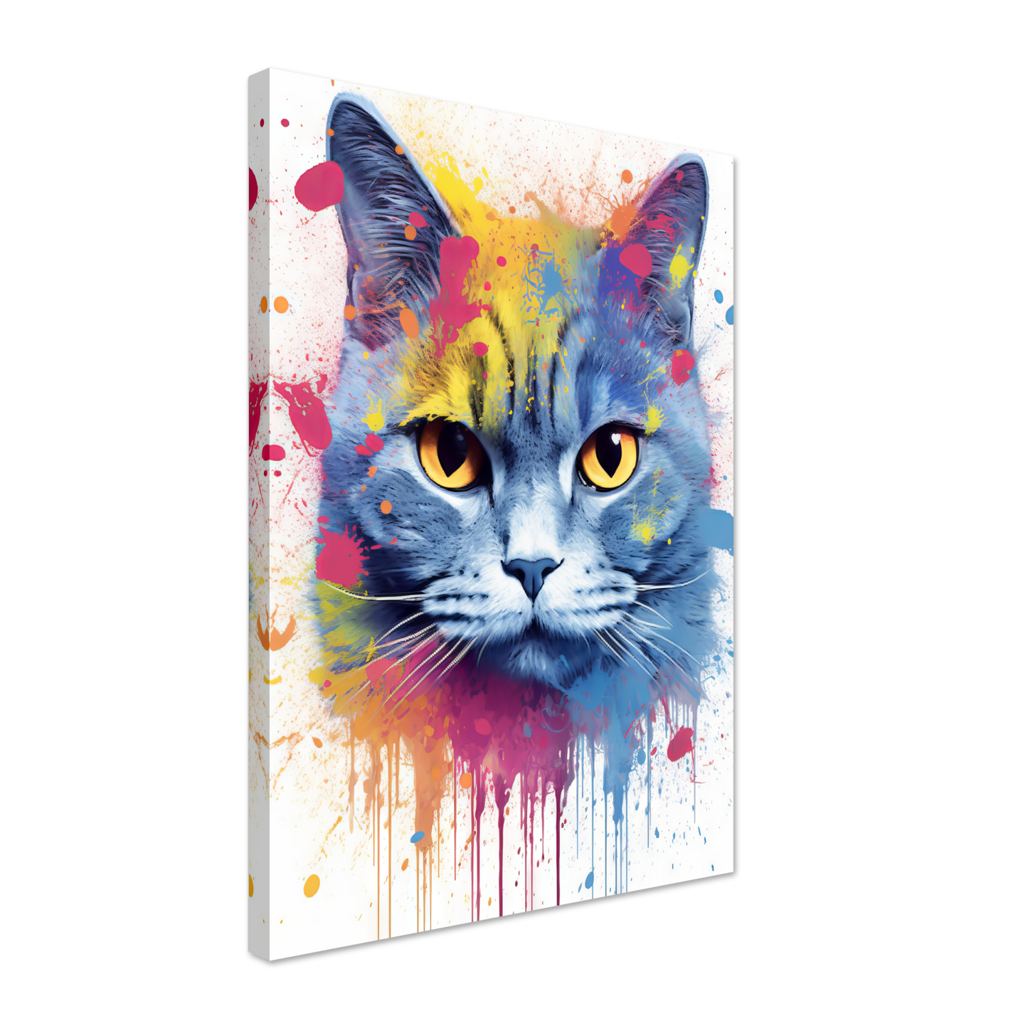Katze Britisch Kurzhaar (BKH) Pop-Art (CAT22)