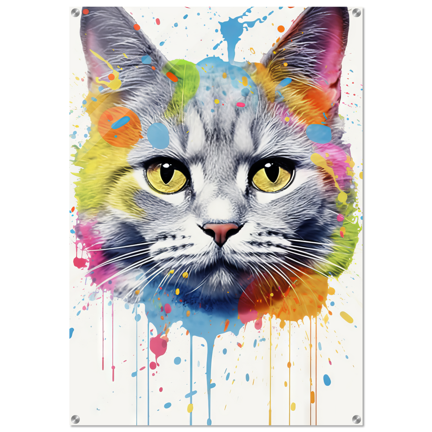 Katze Britisch Kurzhaar (BKH) Pop-Art (CAT23)