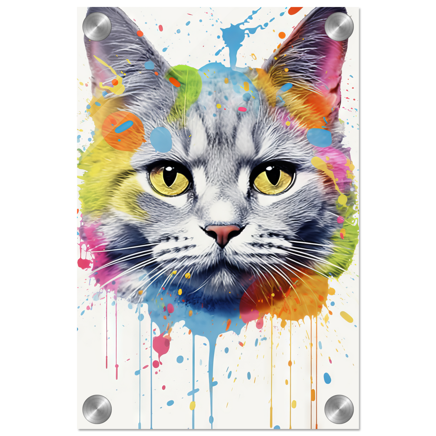 Katze Britisch Kurzhaar (BKH) Pop-Art (CAT23)