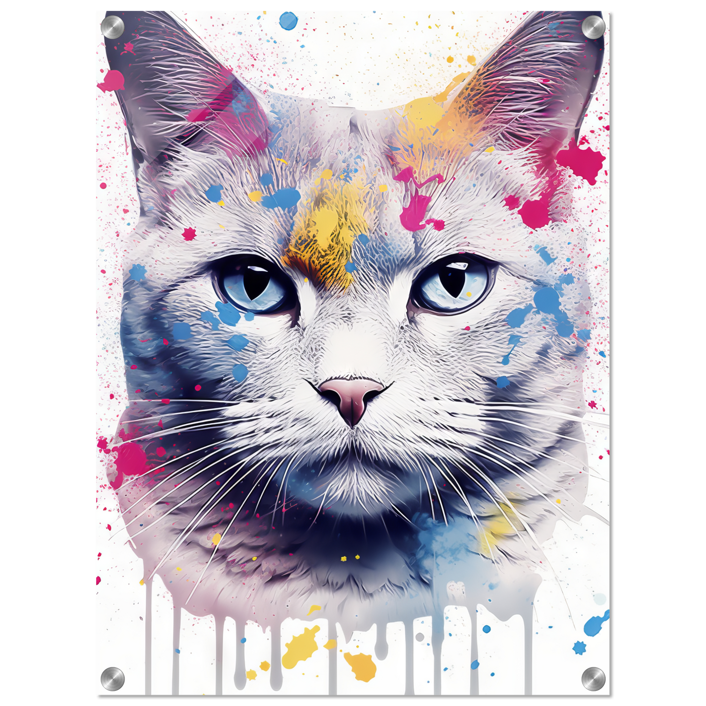 Katze Britisch Kurzhaar (BKH) Pop-Art (CAT24)