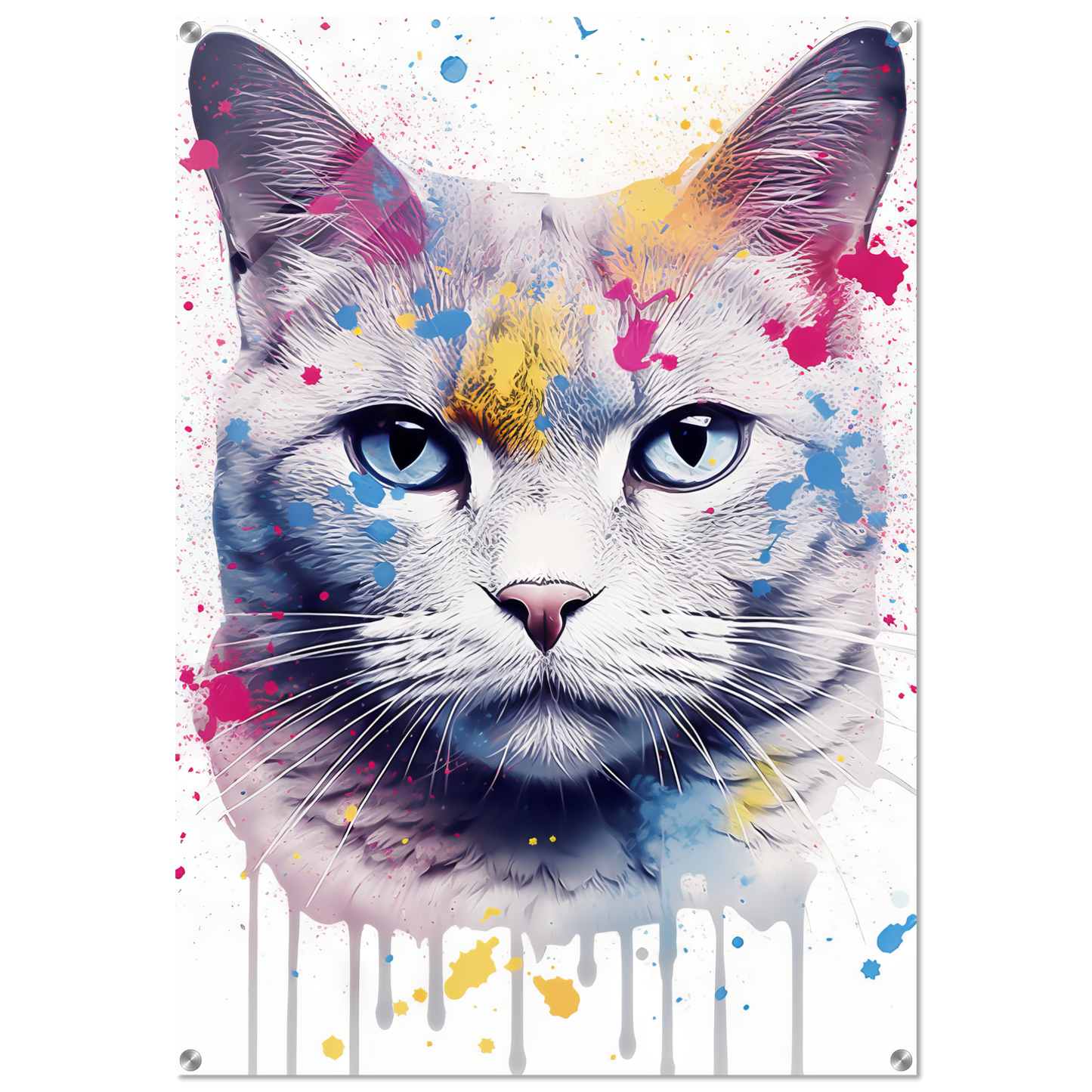 Katze Britisch Kurzhaar (BKH) Pop-Art (CAT24)