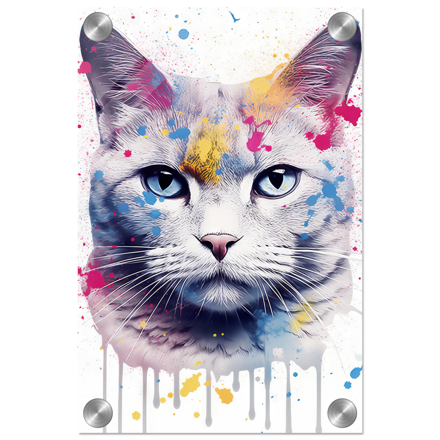 Katze Britisch Kurzhaar (BKH) Pop-Art (CAT24)