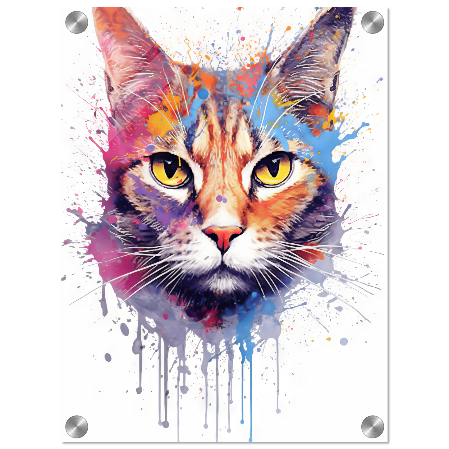 Cat Siamese pop art (CAT32)