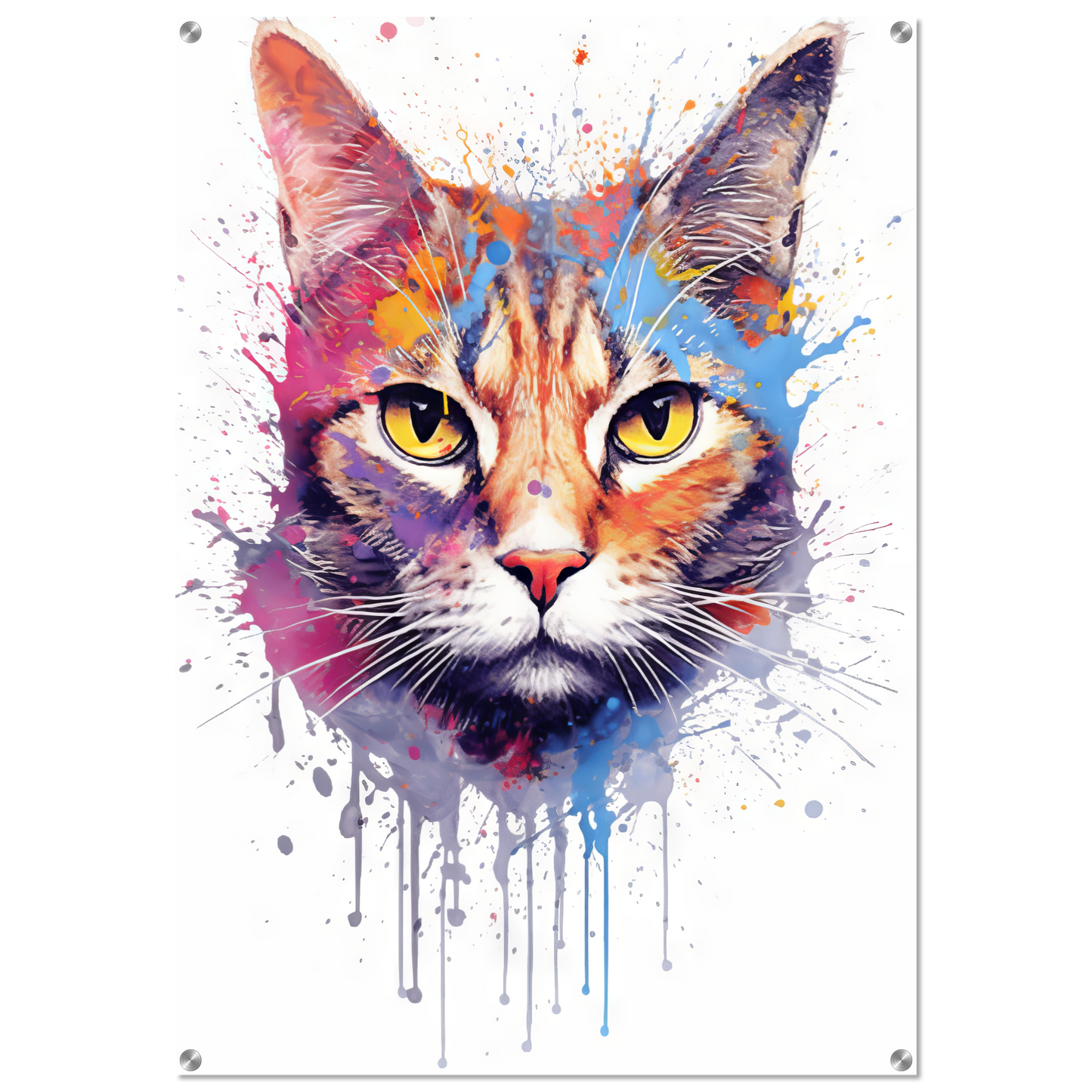 Cat Siamese pop art (CAT32)