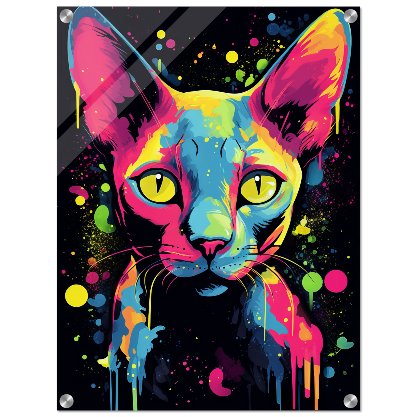 Katze Sphynx Pop-Art (CAT34)