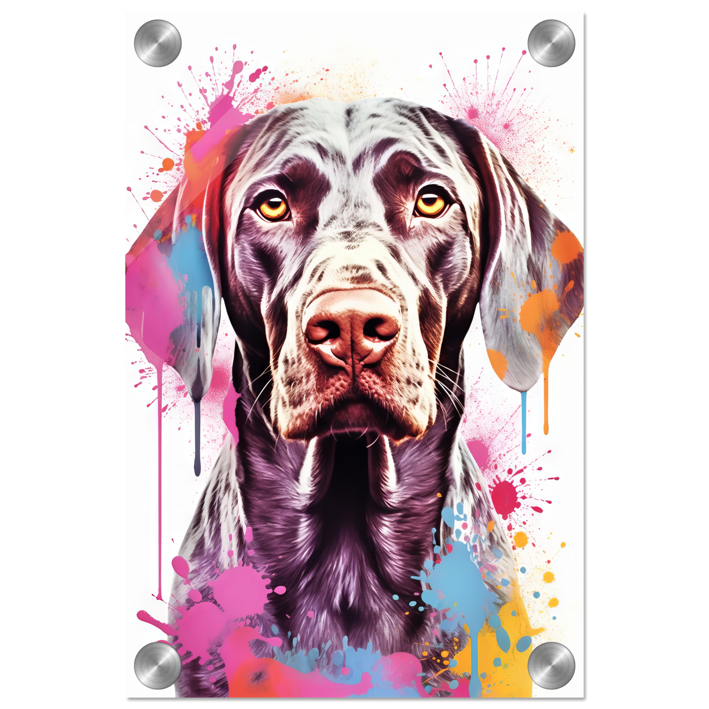 Hund Deutsch Kurzhaar Pop-Art (DOG129)