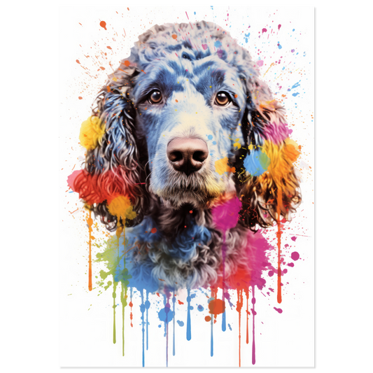 Poodle pop art (DOG155)