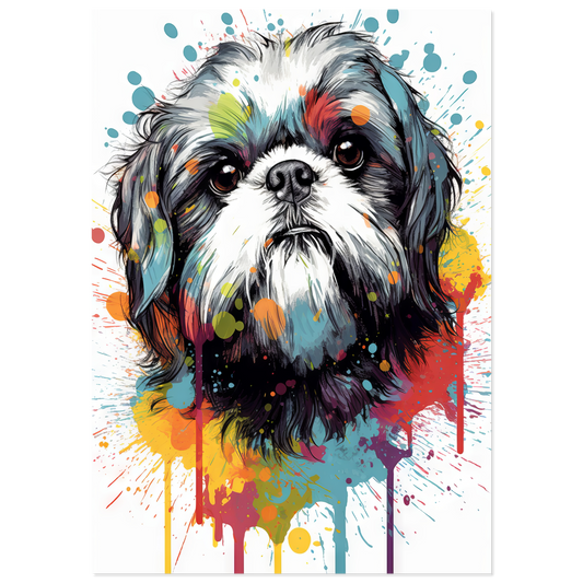 Hund Shih Tzu Pop-Art (DOG24)