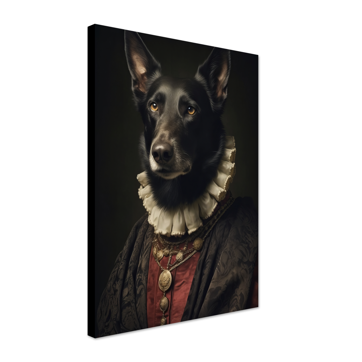 Belgian Shepherd Renaissance (DOG311)