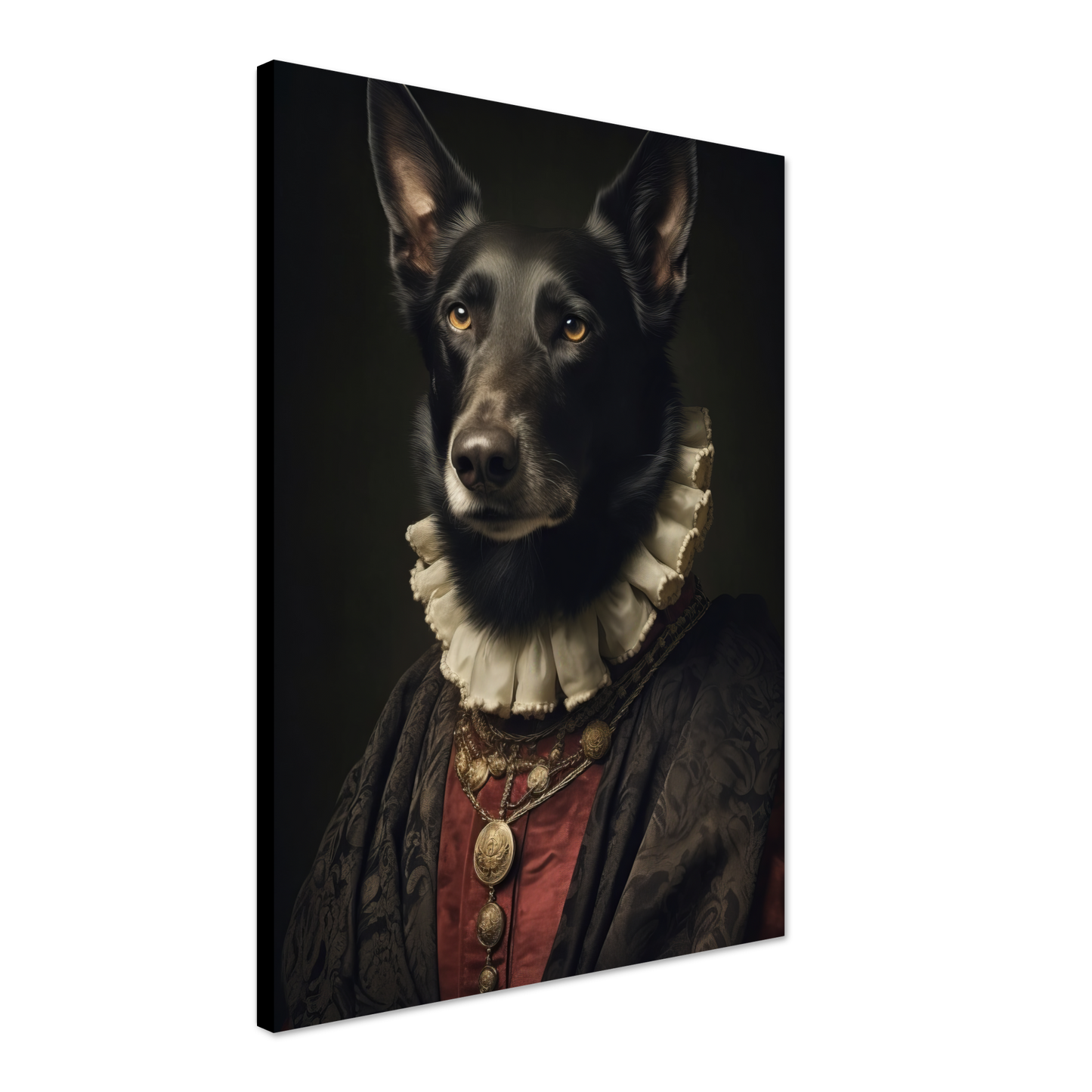 Belgian Shepherd Renaissance (DOG311)