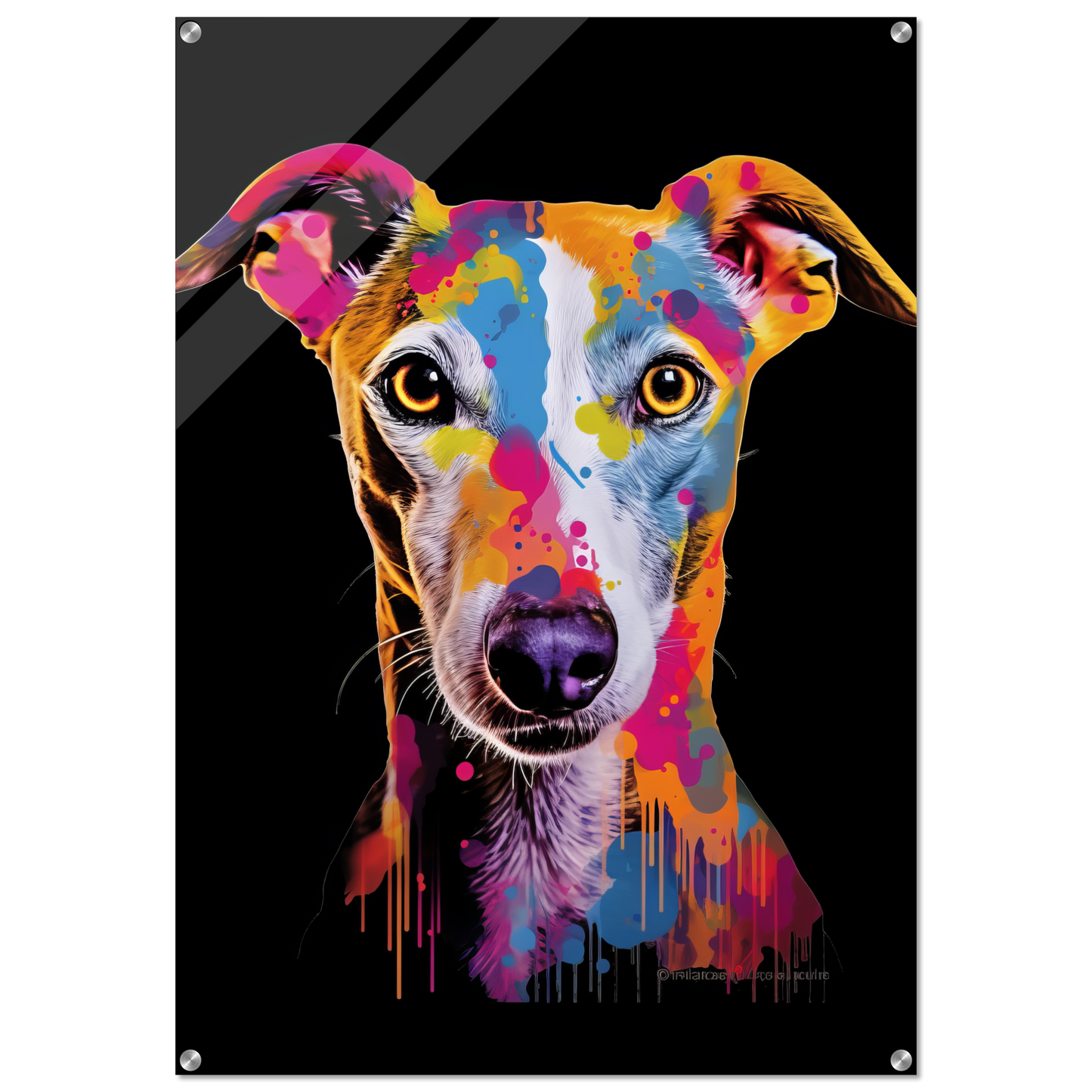 Whippet Hund Pop-Art (DOG313)