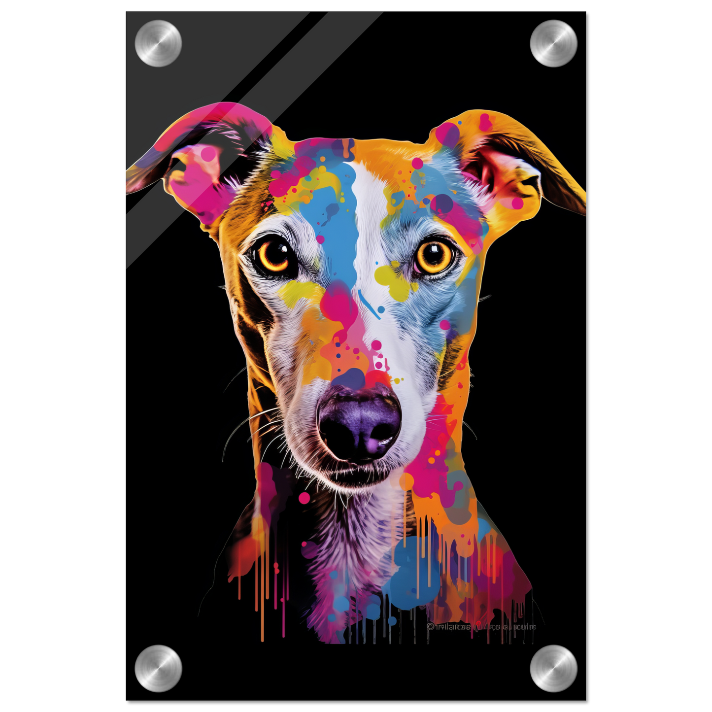 Whippet Hund Pop-Art (DOG313)
