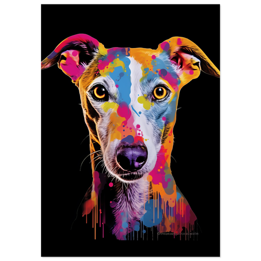 Whippet dog pop art (DOG313)